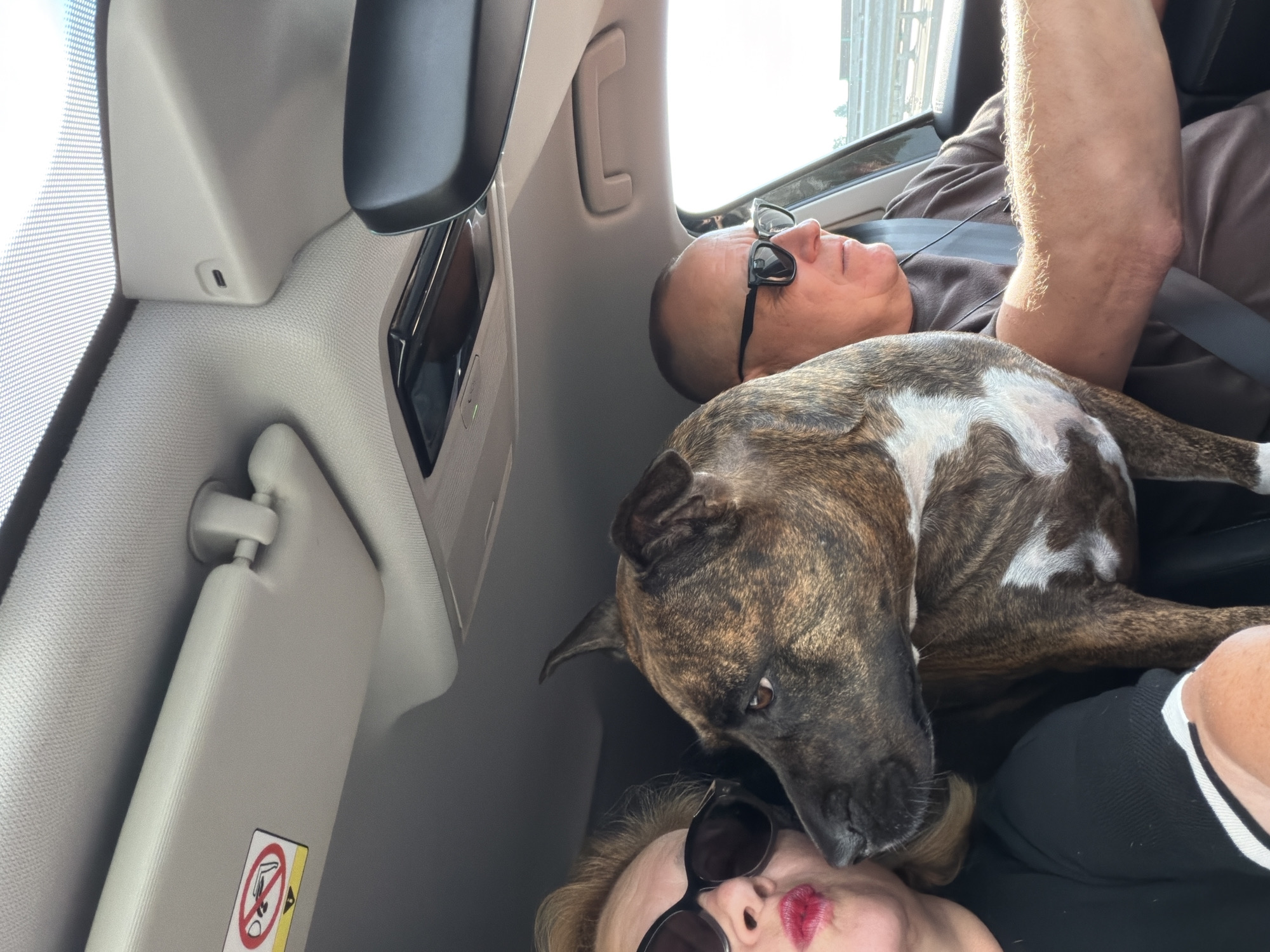 A medium shot captures a woman and a man in the front seats of a car, with a dog in between them. The woman, on the left, wears sunglasses and red lipstick, her head tilted towards the dog. The man, on the right, also wears sunglasses and appears to be driving, looking forward. The dog, a brindle-colored breed with white markings, is positioned in the center, its head turned to its left. The interior of the car is visible, including the ceiling, a sun visor with an air warning sticker, and the car's rearview mirror. The exterior, seen through the car windows, suggests a daytime scene, possibly on a highway, with a blurred background of railings and a light-colored sky. The specific location in Nowa Gorzelnia, Poland, is not visually indicated within the image.