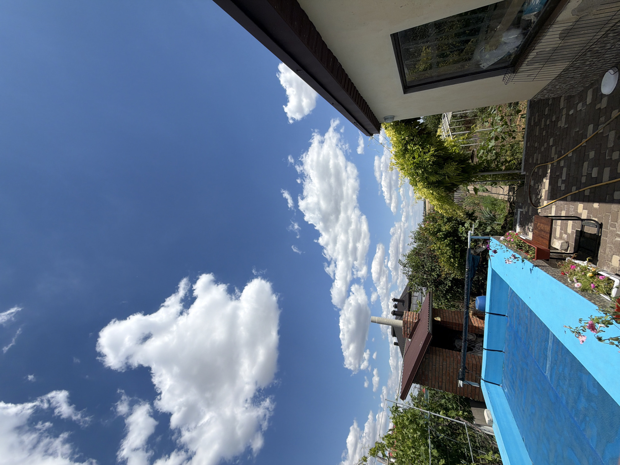 The image shows a view of a backyard on a sunny day. In the foreground, a bright blue swimming pool is covered with a blue solar blanket. Potted flowers line the edge of the pool. To the right, the corner of a building with a brown roof and a large window is visible. A lush green vine arches over a pathway made of brick pavers, which is partially covered by a yellow hose. In the background, a brick structure with a chimney and several other buildings can be seen amidst dense green foliage. The sky above is a clear blue with scattered white clouds. The location is described as Unknown, Unknown. There are no people or animals visible in the image.
