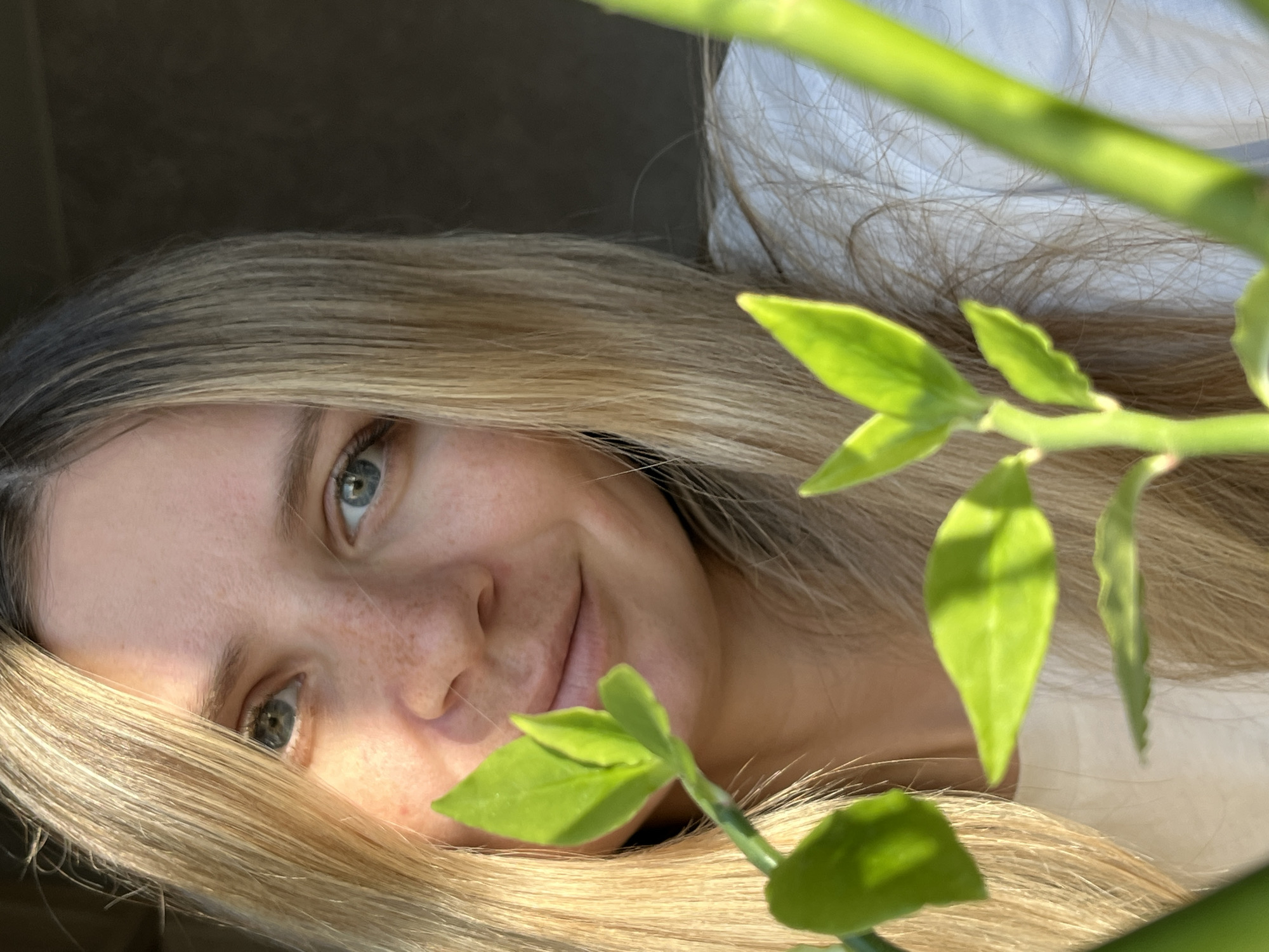 The image is a close-up, horizontal portrait of a young woman with long, predominantly blonde hair and striking blue-green eyes. She is positioned as if lying down, with her head tilted, looking directly at the viewer with a soft, gentle smile. Her skin displays natural freckles across her nose and cheeks. Bright, natural daylight illuminates her face and hair, creating highlights and shadows, suggesting a daytime setting.
A plant with vibrant green leaves and stems is prominently featured in the immediate foreground, partially obscuring the lower right portion of her face and hair, adding a natural and soft framing element to the composition. The background is softly blurred, featuring a dark, indistinct area on the left and a white, textured fabric, likely a bedsheet or clothing, on the right, reinforcing an indoor setting. The overall mood of the image is serene and intimate. No text is visible. This scene is located in Chaikovsky, Russia.