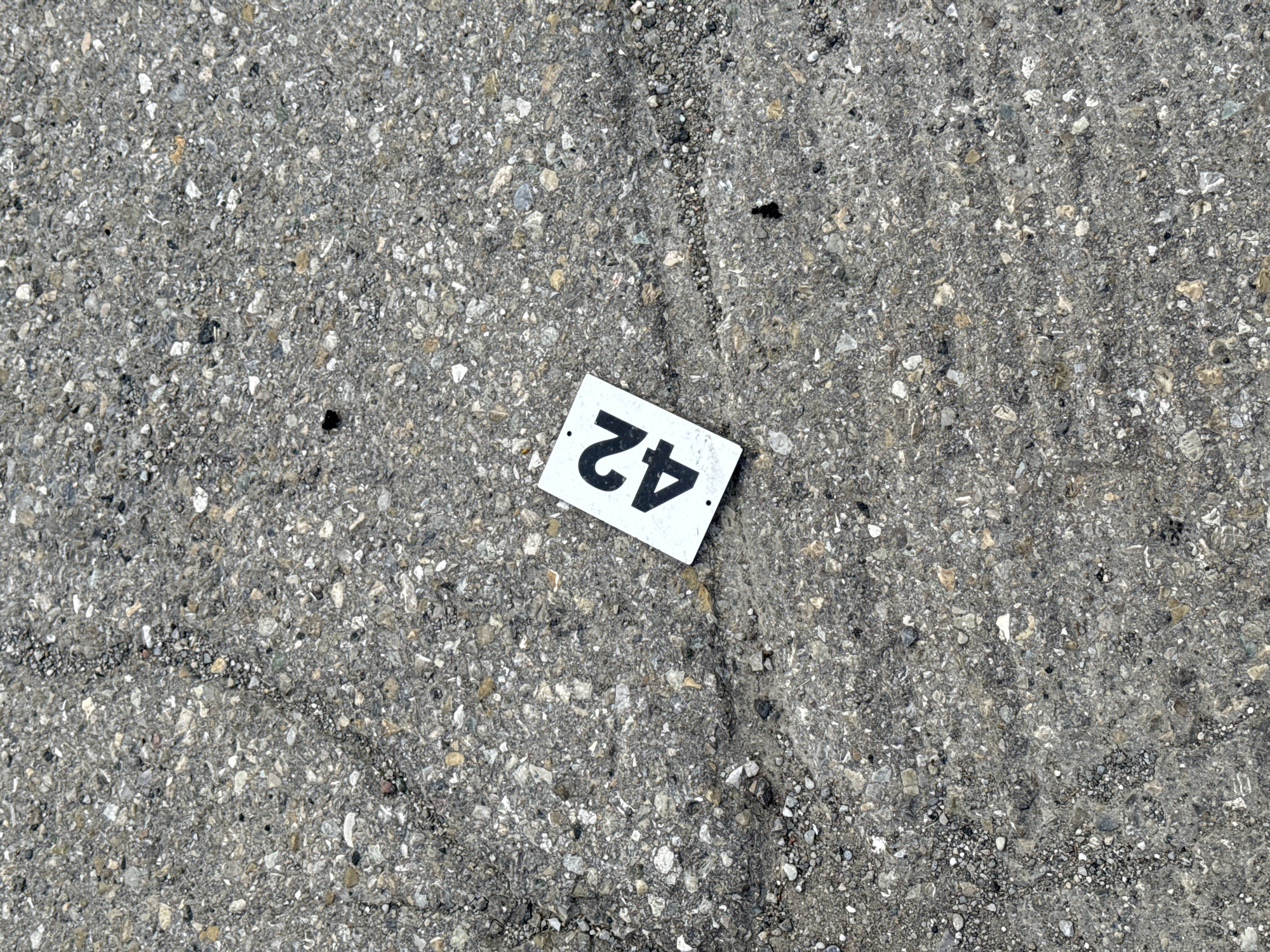A white rectangular marker with the number "42" in black, bold font lies on a textured, gray asphalt surface. The asphalt is speckled with various sizes of gray and white pebbles, with some darker aggregate visible. The marker is positioned at an angle, with the top left corner angled slightly upwards and to the left, and the bottom right corner angled downwards and to the right. Shadows are cast faintly behind and to the right of the marker, indicating a light source from the upper left. The surface shows subtle signs of wear, with some faint darker lines and indentations suggesting a well-trafficked area. This scene was captured in Fontevivo, Italy.