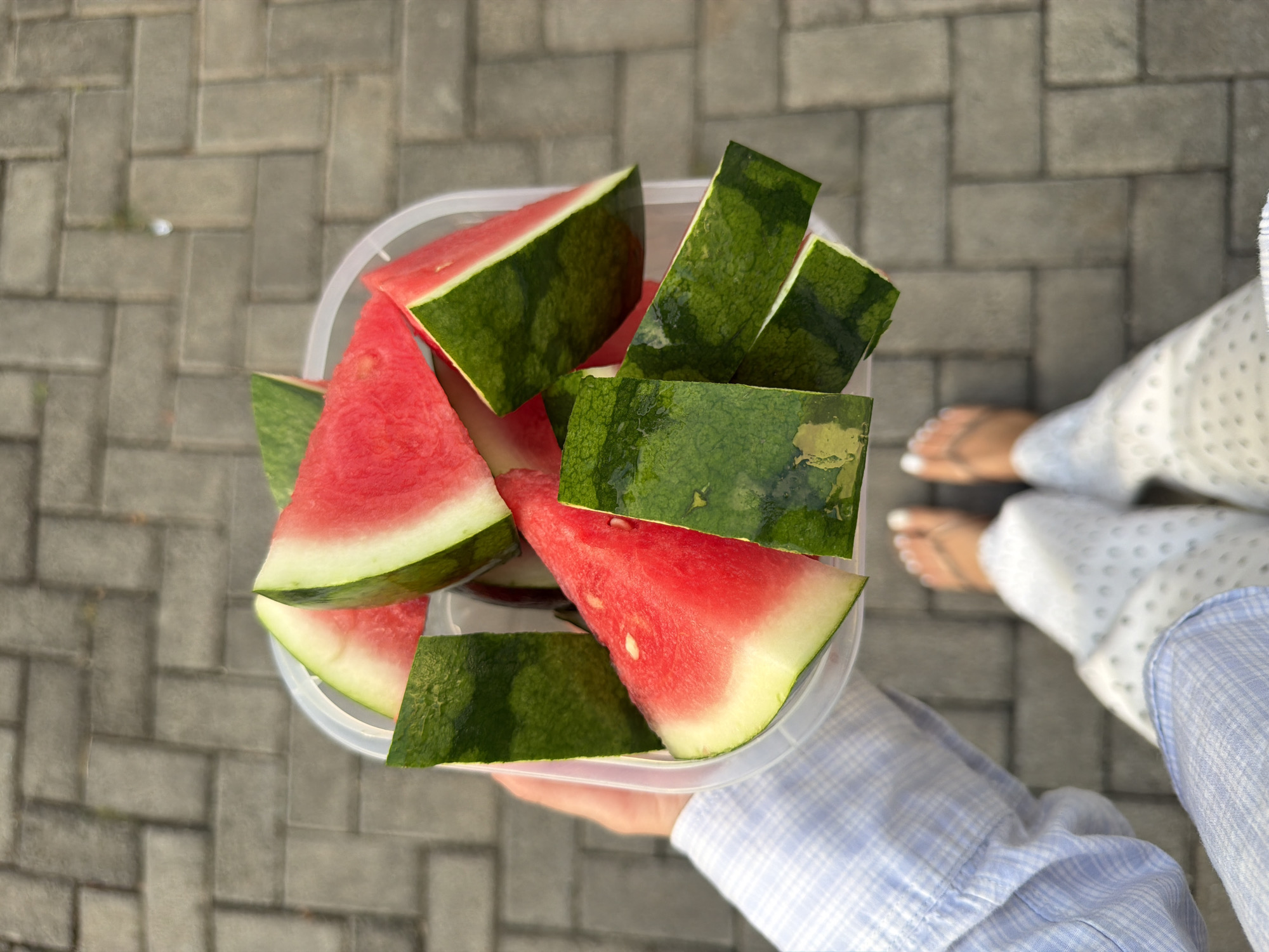 A person's hands, wearing a blue and white checkered shirt, hold a clear plastic container filled with sliced watermelon. The watermelon pieces are triangular, with bright red flesh and green rind. The container is held over a cobblestone pathway. Below the container, a person's legs are visible, wearing white patterned pants and flip-flops. The background is a blurred view of the cobblestone pathway, suggesting an outdoor setting, possibly in Kuta Selatan, Indonesia, given the context.