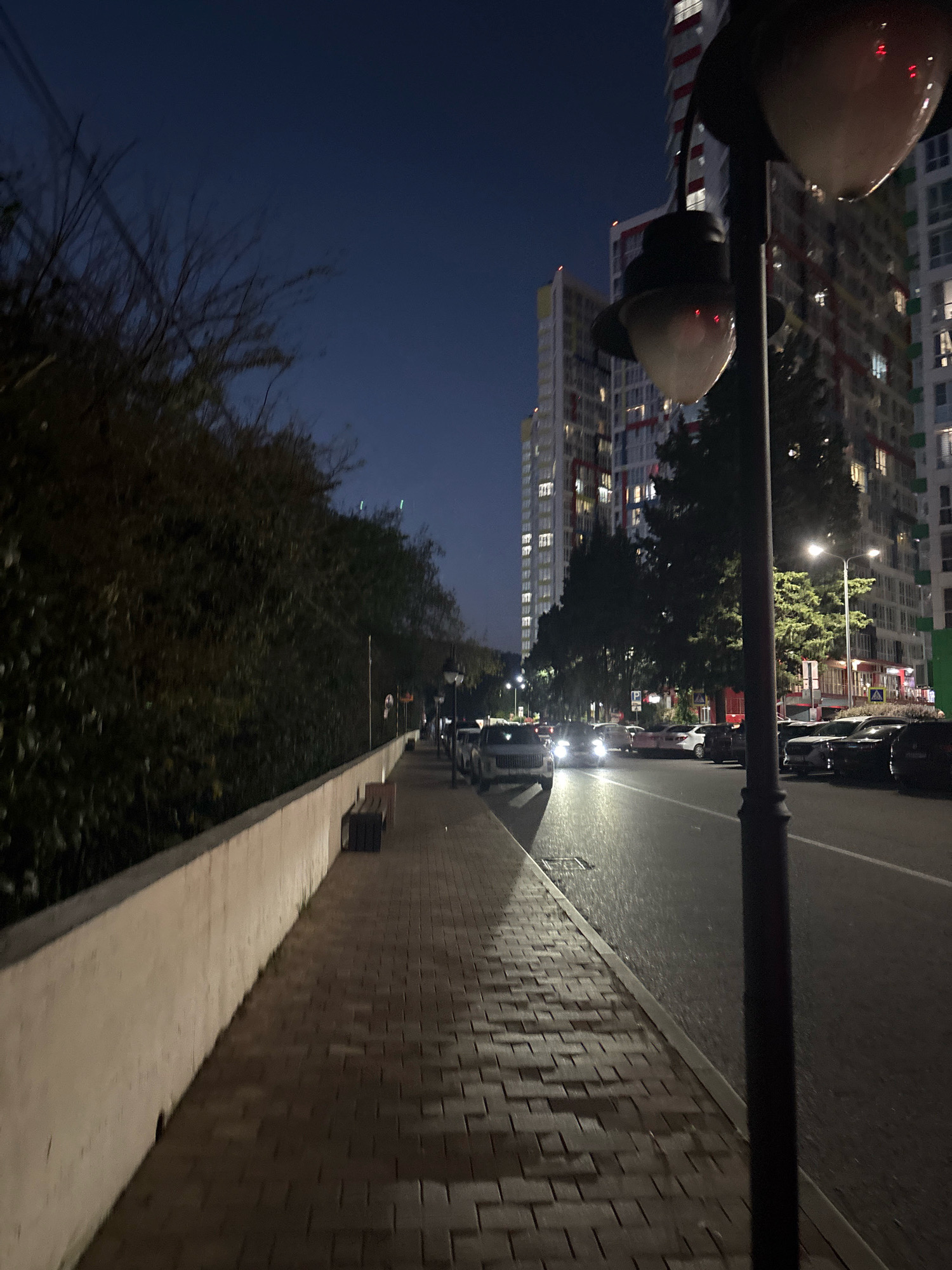 A street-level, slightly low-angle, long shot captures a nighttime scene in Sochi, Russia. The image focuses on a brick sidewalk running along a low, light-colored wall. Beyond the wall, dense, dark foliage lines the sidewalk. Across the street, parked cars and a tall, modern residential building with illuminated windows are visible. A lamppost with two globes stands in the foreground, partially obscuring the view of the street and buildings. The sky is dark blue, indicating it is evening or night. The wet pavement on the street suggests recent rain. No people are present in the image.