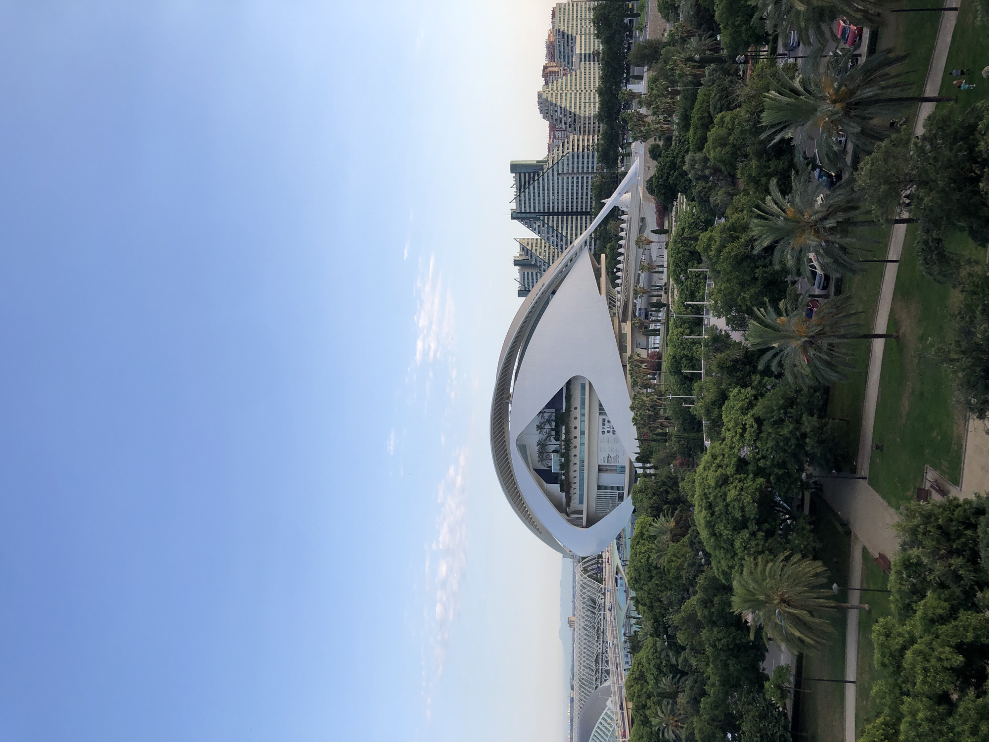 This is a vertical, high-angle, eye-level shot of the City of Arts and Sciences in Valencia, Spain. The bright blue sky dominates the left side of the frame, with a few wispy clouds scattered towards the horizon. On the right, the striking white, futuristic architecture of the Palau de les Arts Reina Sofía, resembling an eye, is prominently featured. Its arched structure encompasses a building with multiple levels and windows, suggesting an interior space.
Beyond the iconic building, a lush green park stretches out, dotted with palm trees and various other trees. A paved pathway winds through the park, and several parked cars are visible in the background. In the distance, a line of modern, geometric buildings with angled facades creates a distinct urban skyline. Further beyond, more distant buildings and what appears to be a mountain range can be seen faintly on the horizon.
The scene is bathed in bright, natural light, indicating it is daytime, likely late afternoon given the soft lighting and shadows. The weather appears clear and pleasant. There are no people clearly visible or engaged in any specific activity, though a few figures can be seen in the park area, appearing as small dark shapes against the green. The overall impression is one of modern architectural marvel set within a well-maintained urban park, under a clear sky.