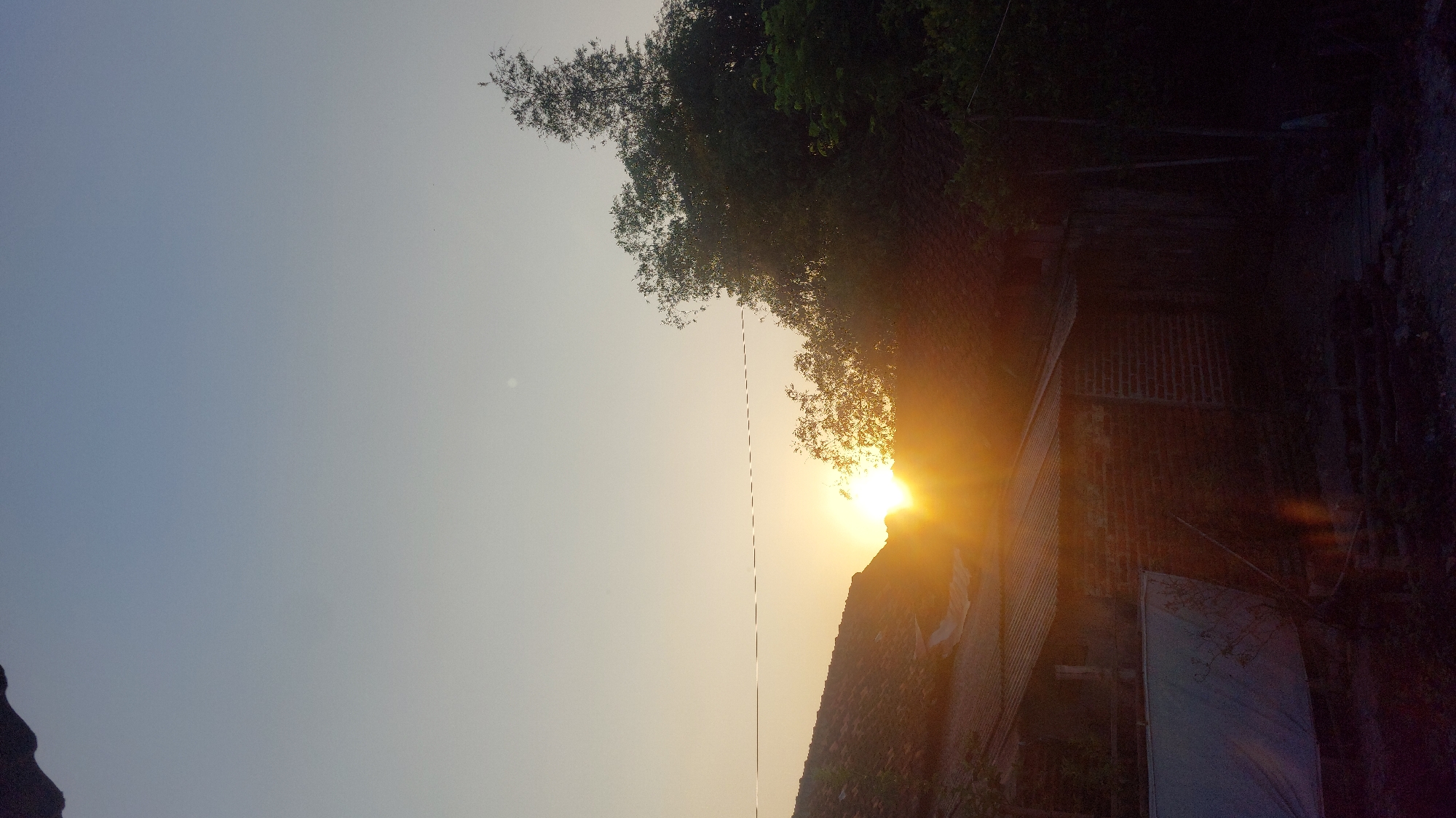 The image depicts a sunset scene in Jatirogo, Indonesia, with the sun low on the horizon, casting a warm orange glow. In the foreground, a dark silhouette of a roofline suggests residential structures, possibly houses, with visible brickwork and corrugated metal roofing. A power line stretches horizontally across the scene. To the right, a dense cluster of trees with dark green foliage adds depth to the landscape, partially obscuring the sky. The sky transitions from a pale blue at the top to a lighter hue near the horizon, illuminated by the setting sun. A faint light reflection, possibly from a camera lens, is visible in the lower right quadrant of the image. The overall impression is of a rural or semi-rural setting at dusk.