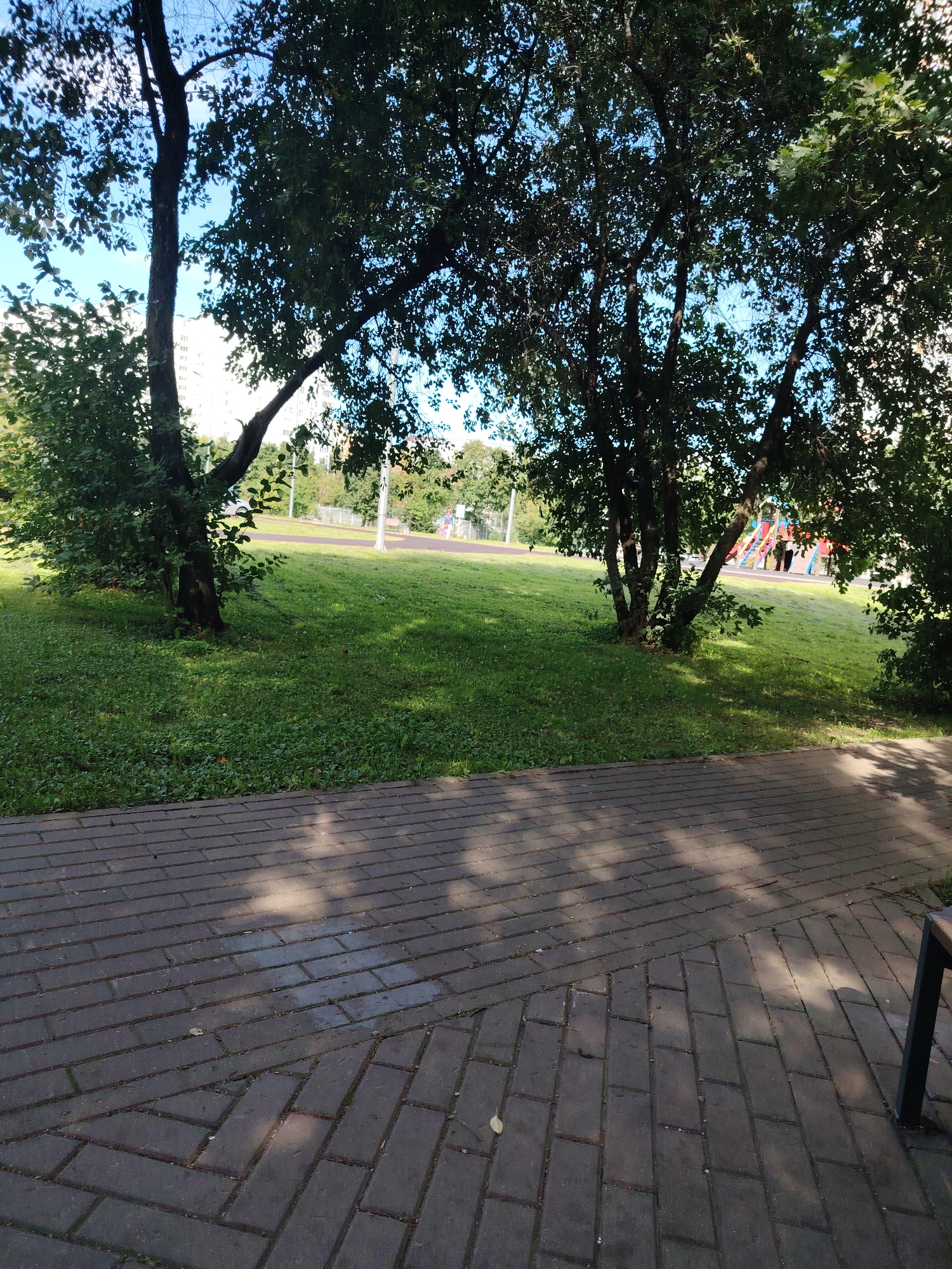 A paved walkway with a herringbone pattern made of dark gray bricks runs diagonally across the foreground of the image. Sunlight filters through the trees, casting dappled shadows on the walkway. To the left of the walkway, a lush green lawn slopes gently upwards. Several trees with dark bark and dense green foliage are scattered across the lawn, with their branches extending into the upper portion of the frame. In the mid-ground, a playground with colorful equipment, including a slide and climbing structures, is visible. A few individuals, appearing to be adults and children, are present on the playground. Beyond the playground, a paved track or path can be seen. In the background, a multi-story residential building with a light-colored facade stands against a clear blue sky. The overall scene depicts an outdoor recreational area in a residential setting, likely a courtyard or park in the city of Zelenograd, Russia.