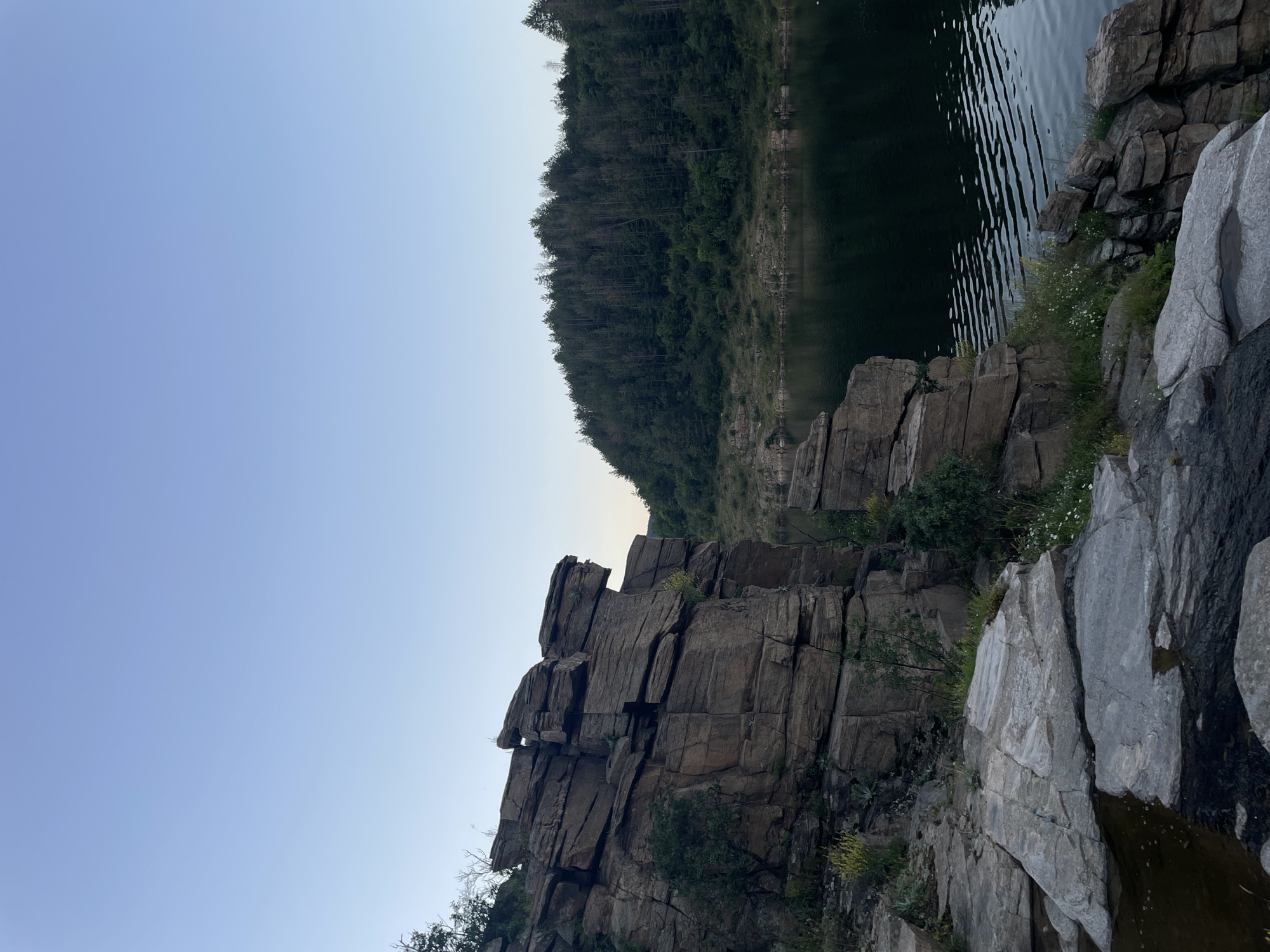 The image depicts a rocky landscape adjacent to a body of water, likely a lake or reservoir. In the foreground, large, layered rock formations dominate the left side of the frame. These rocks are weathered and appear to be composed of sedimentary material, with visible horizontal striations. Sparse vegetation, including small green plants and white wildflowers, grows among the rocks.
To the right, the water reflects the subdued light of a twilight sky. Gentle ripples disturb the surface of the water, suggesting a slight breeze. In the background, a dense forest of evergreen trees covers a sloping hillside that rises from the water's edge. The sky above is a clear, pale blue, transitioning to a lighter hue near the horizon. The overall impression is one of a natural, undisturbed environment.
The location is identified as being in the city of Suhovo, Bulgaria, suggesting this is a natural area within or near the city. There are no people or man-made structures visible in the scene. The image captures a serene, natural vista during the late evening or early morning hours.