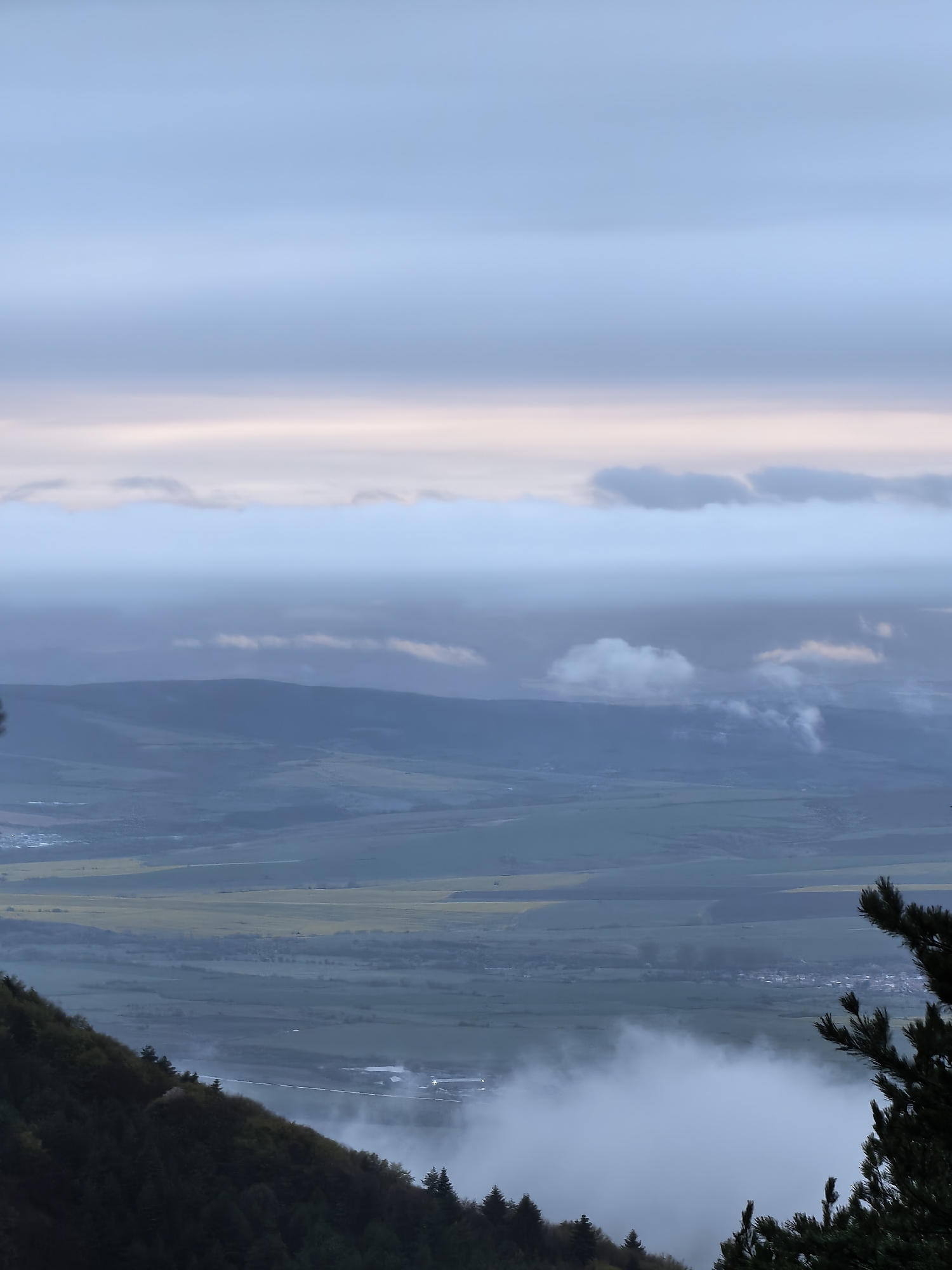 The image displays a serene and expansive landscape viewed from a high vantage point, likely a mountain or large hill, during either dawn or dusk. The sky above is a canvas of soft blues and greys, with horizontal bands of pale pink and orange suggesting the rising or setting sun behind the clouds. Multiple layers of clouds are present, some low-hanging and dense, while others are wispy and scattered.
In the immediate foreground, the dark, forested slope of the viewpoint is visible on the left and bottom, with the tips of coniferous trees framing the lower right corner. Below, a vast valley unfolds, characterized by a patchwork of agricultural fields in varying shades of green, brown, and distinct patches of yellow, possibly flowering crops like rapeseed.
Further into the distance, successive layers of rolling hills and mountains recede into an atmospheric haze. Low-lying fog or mist partially obscures parts of the valley floor and small clusters of buildings, likely villages or towns, are faintly visible amidst the fields and distant slopes. The overall impression is one of tranquility and natural grandeur, with the mist adding an ethereal quality to the scene. No people or visible text are present.