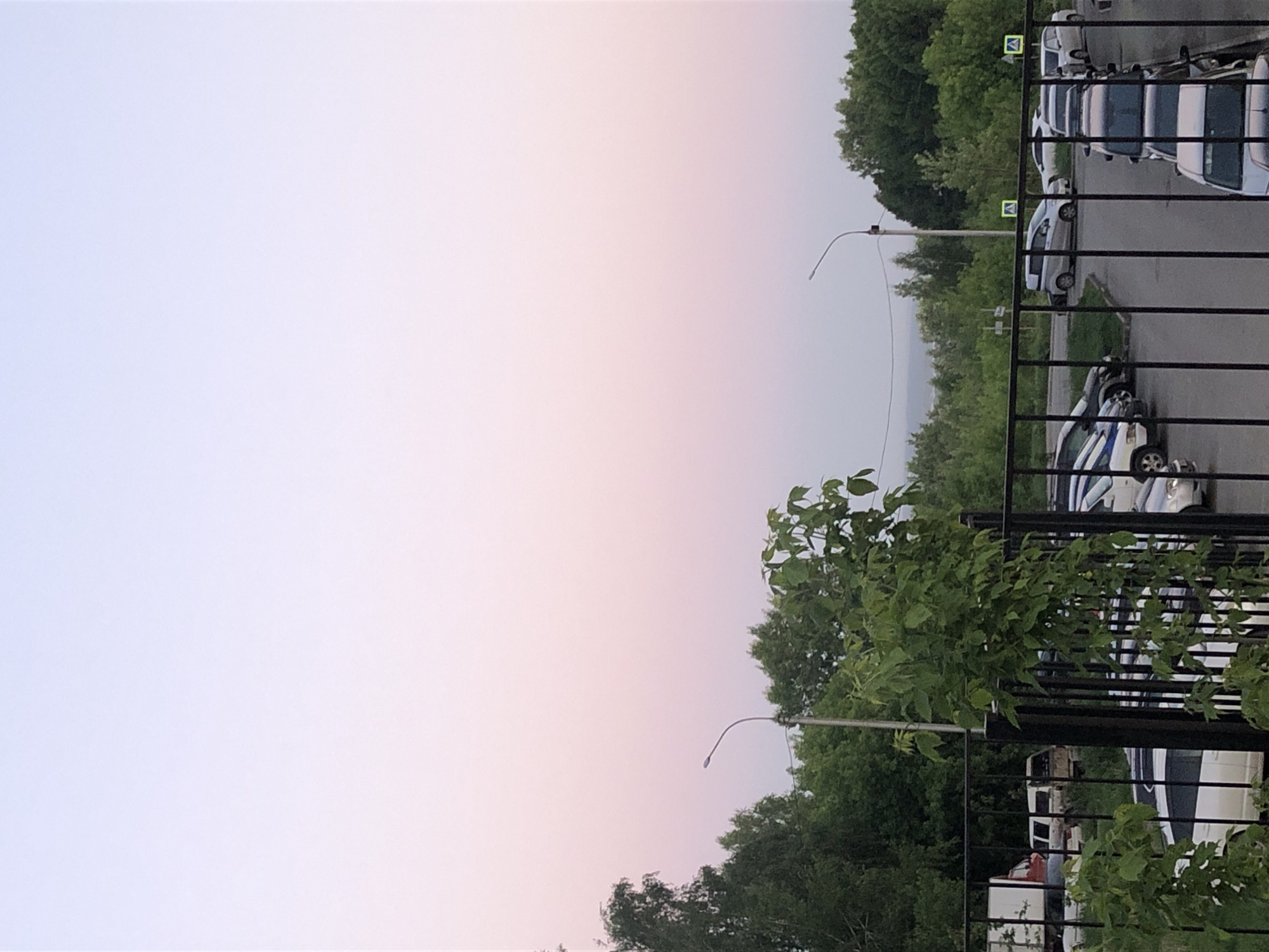 A wide-angle photograph captures an urban or suburban scene, oriented vertically as if the camera was held sideways. The dominant feature is the sky, which occupies the left two-thirds of the image, displaying a soft gradient from a light, almost white blue at the top to a pale pinkish-purple hue towards the right. This coloration strongly suggests either dawn or dusk.
On the right side of the frame, a row of cars is parked along a street or parking lot, partially obscured by a black metal fence with vertical bars. Some cars appear white, while others are darker. Green foliage from trees and bushes is scattered across the right side, with some leaves growing through the fence. Beyond the parked vehicles and fence, a dense line of green trees extends into the mid-distance and background, creating a natural boundary. A hazy, lighter band visible above the distant trees suggests a far-off horizon.
Two street lights with curved arms are present, one in the upper right and another lower down, extending from poles. Two yellow square road signs, featuring a black pedestrian symbol (indicating a pedestrian crossing), are mounted on poles near the parked cars. The overall scene conveys a peaceful and quiet atmosphere, with no people or specific activities taking place. No discernible text is visible in the image.
