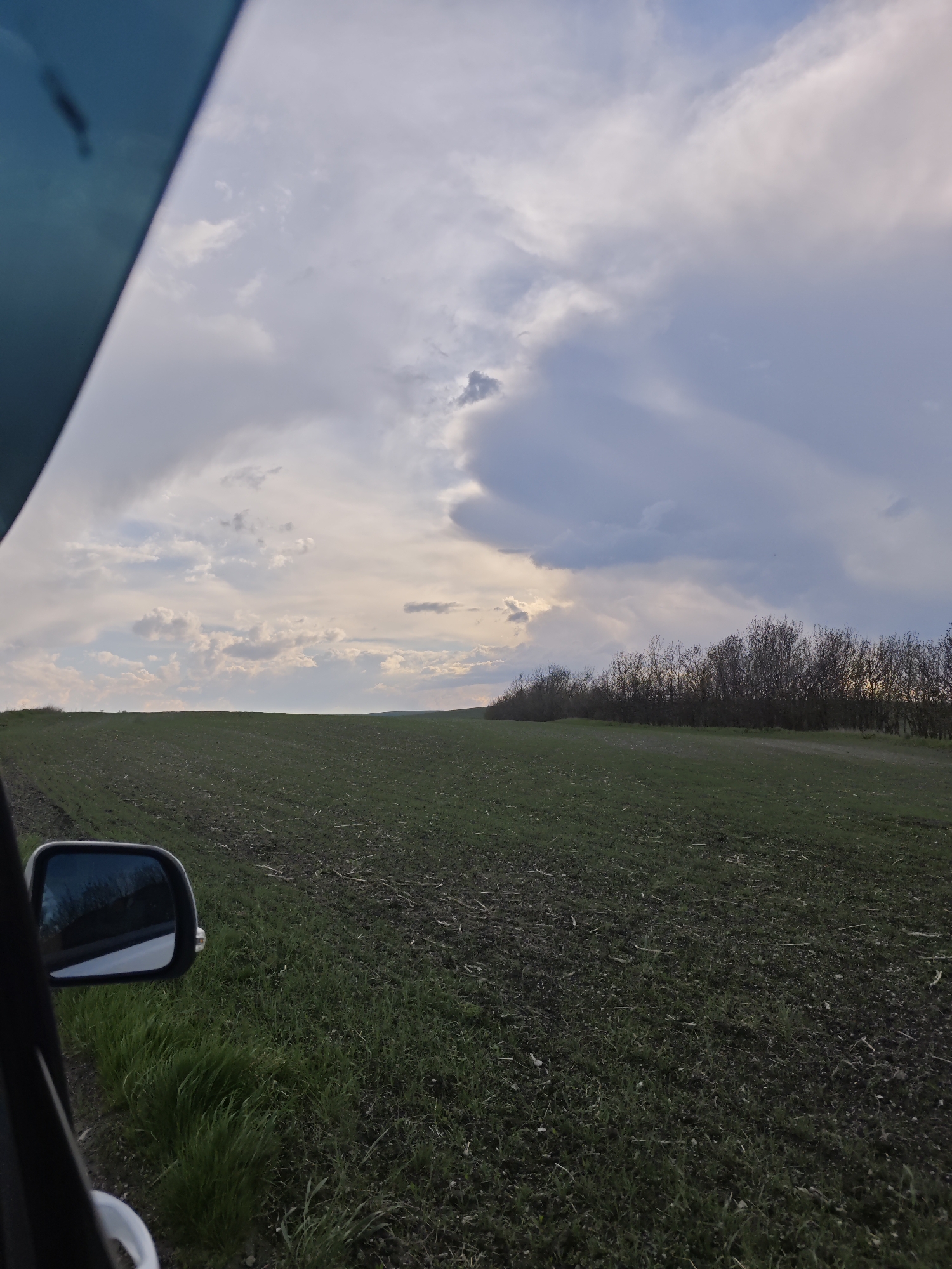The image, apparently taken from inside a vehicle, shows a landscape consisting of a large, open field under a cloudy sky. The field appears to be agricultural land, with signs of recent plowing and the beginnings of plant growth. In the distance, a line of trees can be seen, marking a boundary or edge of the field. The clouds in the sky are varied in color and density, ranging from light, wispy formations to darker, more ominous ones. The image includes a portion of the vehicle from which it was taken, including a side mirror and part of the window frame. There is no indication that this image is from Etoka, Russia. There are no people visible in the image. The scene appears to be rural.