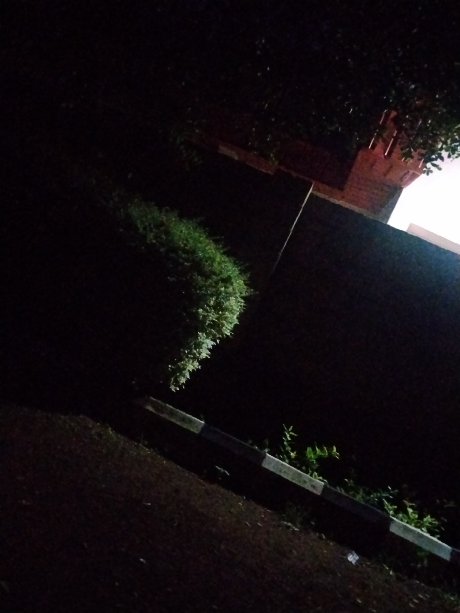 The image depicts an outdoor scene at night, likely in Mangu Town, Nigeria. The primary subjects are a dense, green bush and a dark, textured wall. The bush is illuminated from the side, highlighting its shape and texture, while the wall appears to be made of brick or a similar rough material. Above the wall, glimpses of red brick architecture and foliage are visible, suggesting the presence of a building or structure.
The lighting conditions indicate it is nighttime, with artificial light sources casting shadows and illuminating parts of the scene. The overall mood is subdued and somewhat mysterious due to the low light. There are no people or specific activities captured in the image. The ground in the foreground is dark and appears to be a paved surface, possibly a road or pathway, with a curb or border marked with alternating black and white stripes. Small green plants are growing near this border.
Notable details include the contrast between the illuminated bush and the dark surroundings, the texture of the wall, and the patterned border. The presence of foliage and the architectural hints suggest a built environment within a natural setting, common in residential or public areas. The time of day is clearly night. No visible text is present in the image.