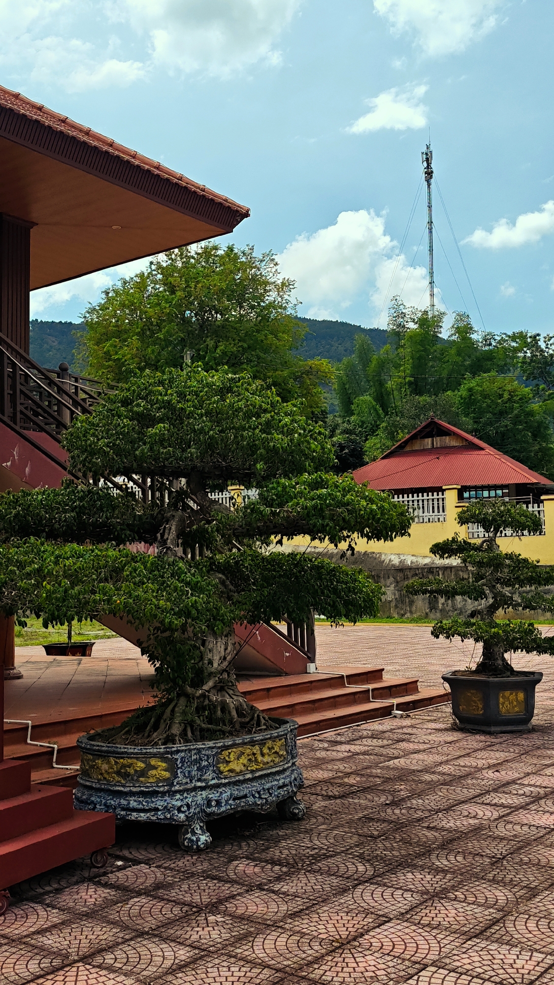 This vertical full-shot image captures a tranquil outdoor scene, likely a courtyard or grounds in Mường Kim, Vietnam. The central focus is a magnificent, meticulously shaped bonsai tree with dense green foliage, rooted in an ornate blue and gold planter. To its right, a smaller bonsai in a simpler black and gold square pot adds to the cultivated aesthetic.
In the mid-ground, a grand building on the left features a dark reddish-brown tiled roof, matching eaves, and a prominent wooden staircase with railings leading upwards. Its walls are also a dark reddish hue. Further back on the right, a vibrant yellow building with a striking red corrugated metal roof stands out, featuring a white balustrade-style railing along its upper section.
The ground is paved with distinctive reddish-brown interlocking bricks arranged in intricate circular patterns. Lush green trees and vegetation form a rich backdrop, with distant green mountains visible under a bright blue sky dotted with scattered white clouds. A tall, slender communication tower with various antennae rises in the upper right background, behind the yellow building.
The scene depicts a peaceful daytime setting, likely late morning or early afternoon, with clear weather. There is no visible activity or people, suggesting a moment of quiet contemplation. The architecture, intricate bonsai trees, and general aesthetic cues firmly place the scene within a Southeast Asian cultural context, consistent with its location in Vietnam. No text is visible in the image.