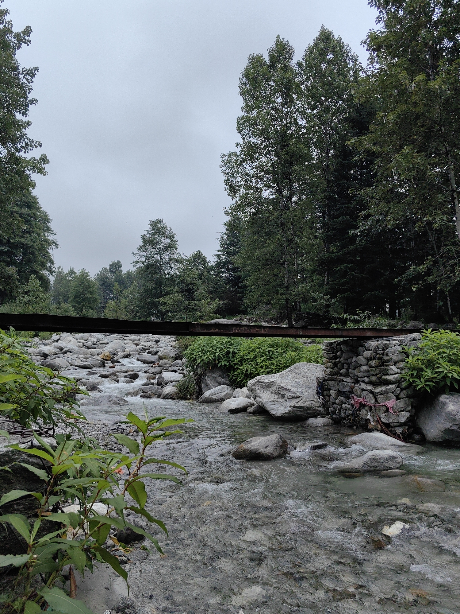 The image depicts a natural scene with a river flowing through a rocky terrain, framed by lush green trees under a cloudy sky. In the foreground, a small plant with green leaves grows on the left side, with the river flowing to its right. The river is filled with numerous grey and white rocks of various sizes, some submerged and others exposed. The water appears clear and is in motion, creating ripples and white foam as it navigates the obstacles.
A narrow, rusted metal bridge spans across the river, supported by a stone structure on the right bank. The stone structure is built with rough, grey stones and has some pink fabric tied to it. Green foliage grows abundantly around the riverbanks and behind the stone structure.
In the background, dense trees with dark green leaves form a thick forest. The sky is overcast and a pale grey, suggesting a cloudy or possibly rainy day. The overall impression is a serene, natural landscape. There are no people visible in the image. The scene is likely in a rural or mountainous area, given the natural elements. While the prompt mentions Barheta, India, there are no specific visual cues within the image that definitively identify this location.