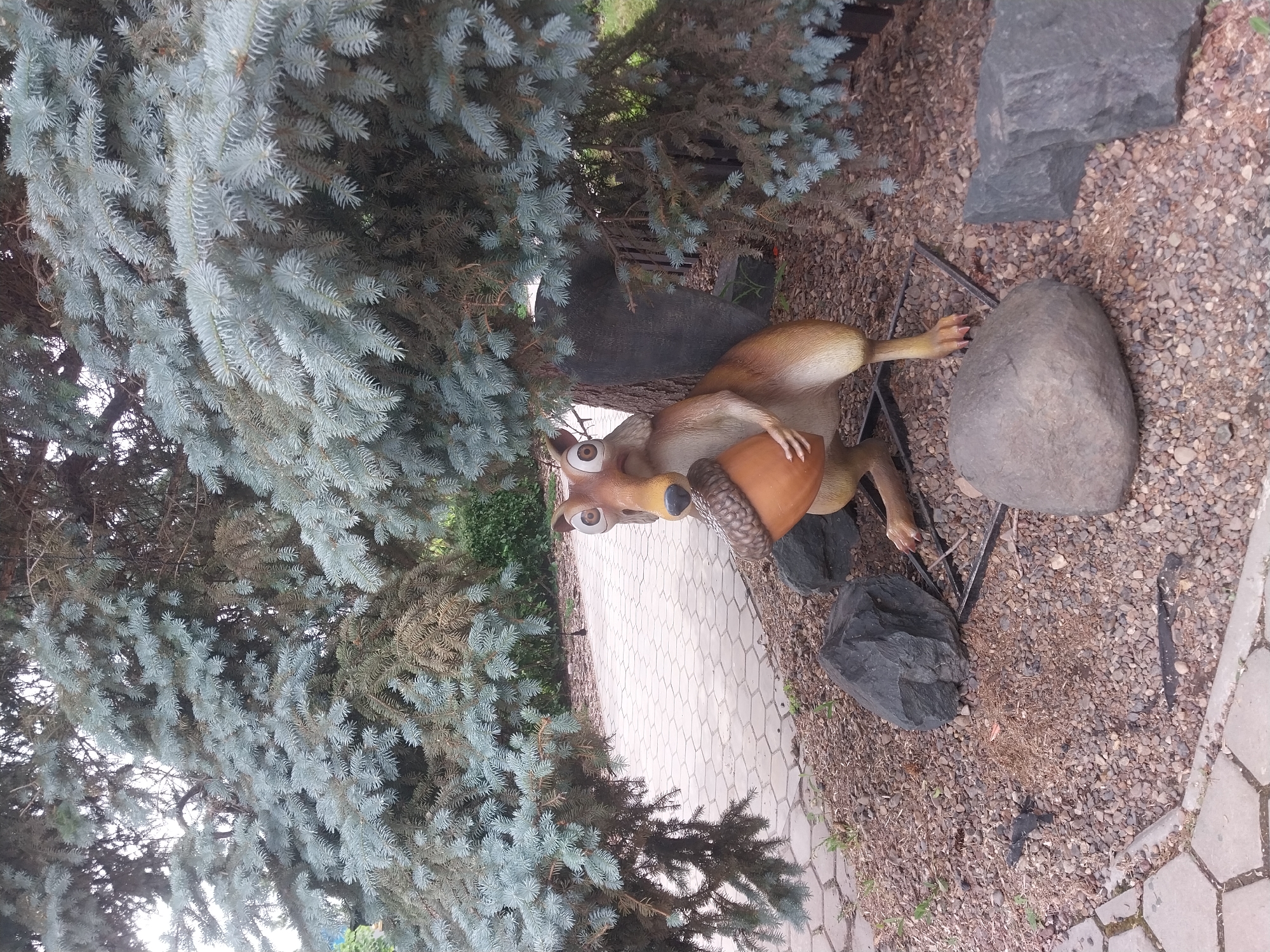 A sideways outdoor photograph shows a statue of Scrat, a fictional squirrel-like creature, holding an acorn. The statue stands on a gravelly surface next to a walkway made of interlocking pavers, with a blue spruce tree partially obscuring it. Large rocks are scattered around the statue. The statue is located in Orenburg, Russia.