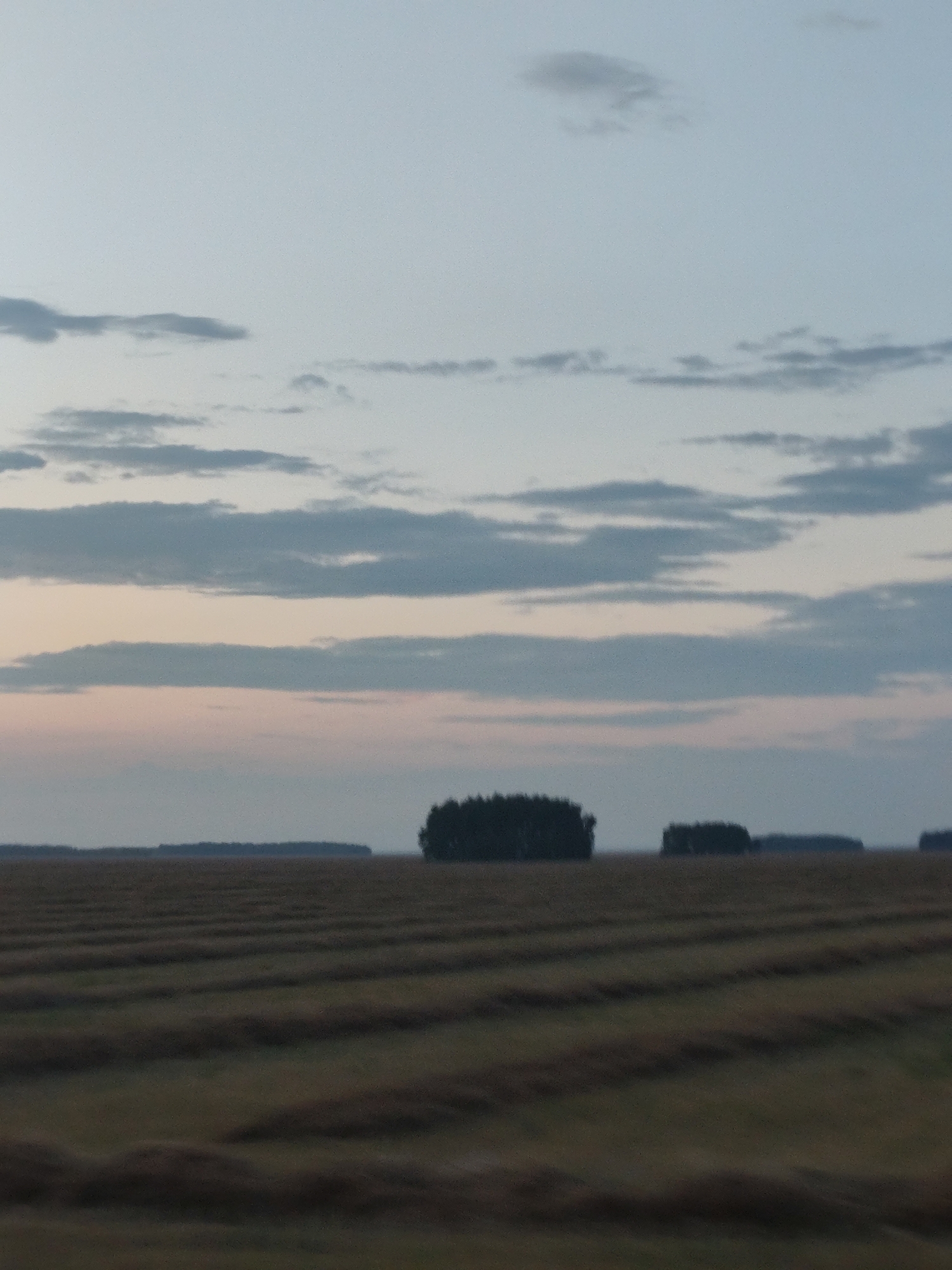 The image depicts a rural landscape at dusk. The foreground is a field with rows of cut hay or crops. In the middle ground, there are several clusters of trees, forming dark silhouettes against the lighter sky. The background shows a distant treeline or horizon. The sky is a pale blue with horizontal bands of clouds, tinged with pink and orange from the setting sun. There are no people or animals visible in the image. The scene is quiet and serene, indicative of a rural setting in Ayutas village district, Kazakhstan.