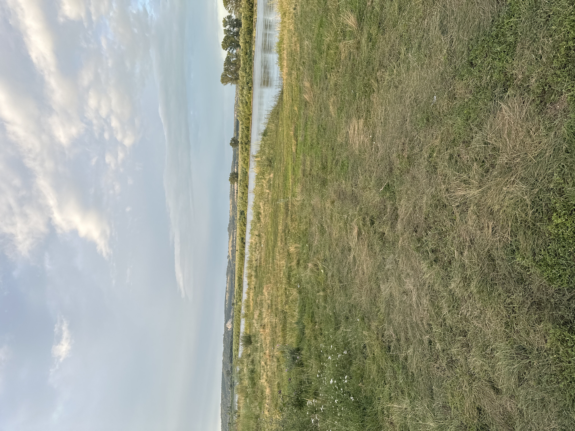 The image shows a wide river flowing through a rural landscape under a cloudy sky. The foreground is dominated by a grassy field with patches of dry and green grass, and a faint dirt path leading towards the river. Small white wildflowers are scattered across the left side of the field. The river is calm and reflects the sky. The opposite bank of the river is lined with trees and dense vegetation, with rolling hills in the distance. A small settlement or cluster of buildings can be seen on the far left bank. The overall scene depicts a natural, serene environment.