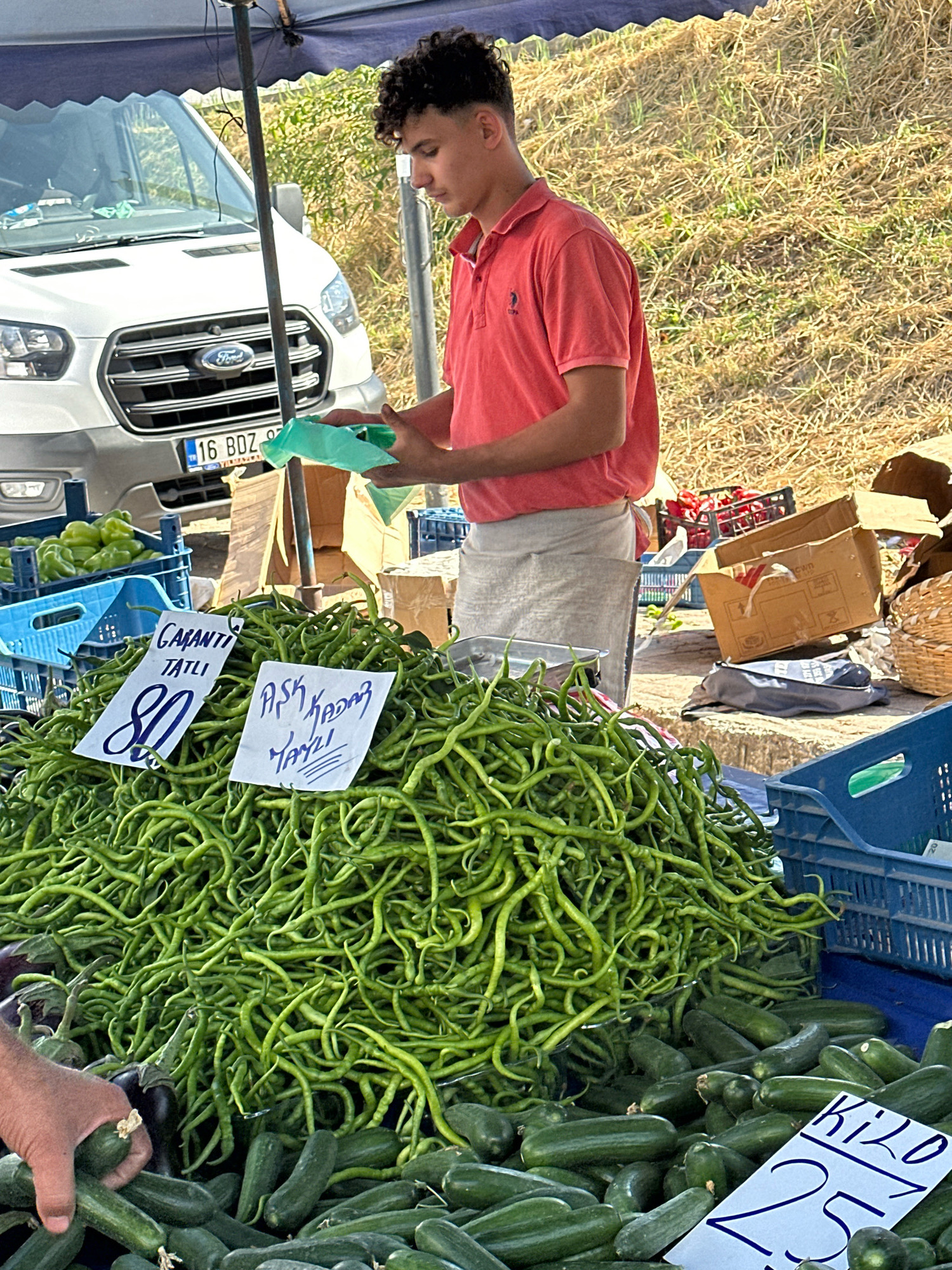 A young man in a red polo shirt and an apron stands at a market stall in Mudanya, Turkey, preparing to bag produce. In front of him, a large pile of green peppers is displayed, with signs indicating prices. To the right, a pile of cucumbers is visible, also with a price sign. Behind the stall, a white van with a license plate reading "16 BDZ 97" is parked. The background consists of dry, grassy terrain. The man is holding a green plastic bag in his hands, suggesting he is in the process of serving a customer. The overall scene depicts a bustling outdoor market.