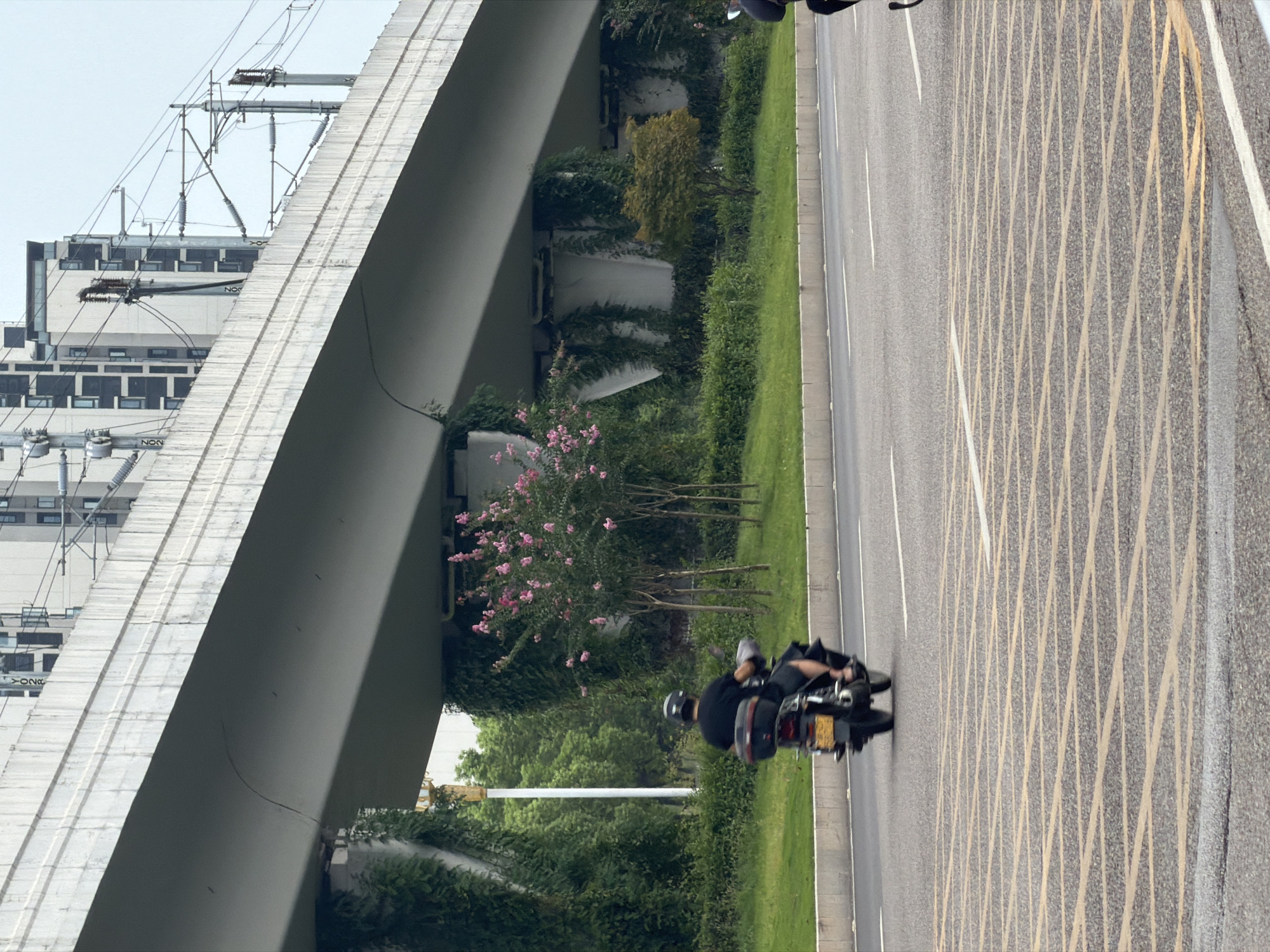 The image shows a motorcycle with a rider on a road in Jiangjin, China. The motorcycle is black with a yellow license plate and a red taillight. The rider is wearing a black shirt and a black helmet. The road has yellow crosshatching in the foreground. In the background, there is an elevated structure, possibly a bridge or overpass, with buildings and power lines visible. Green vegetation, including trees and vines, covers parts of the elevated structure and lines the side of the road. Pink flowers are also visible on a tree. The sky is overcast.