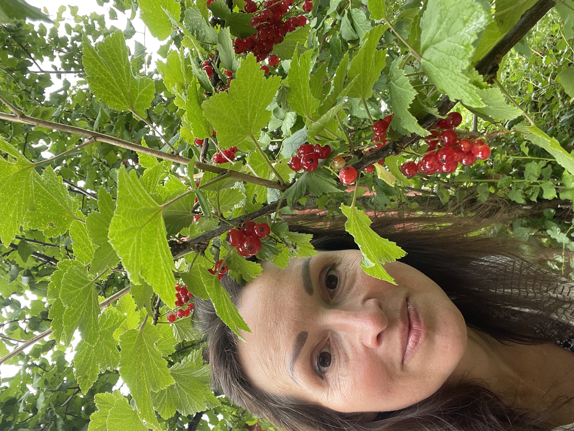 A woman with dark brown hair and fair skin is partially visible in the foreground, looking directly at the camera. She is positioned on the left side of the frame, with the right side of her face and chest visible. Her eyes are brown, and she is smiling.
The background is dominated by a red currant bush, with vibrant green leaves and clusters of bright red berries. The bush is dense, with branches and foliage filling much of the frame. The lighting suggests an outdoor setting, possibly in a garden or natural environment.
The image was taken in Дресвяново, Russia, likely in an outdoor setting such as a garden or yard, given the presence of the red currant bush.