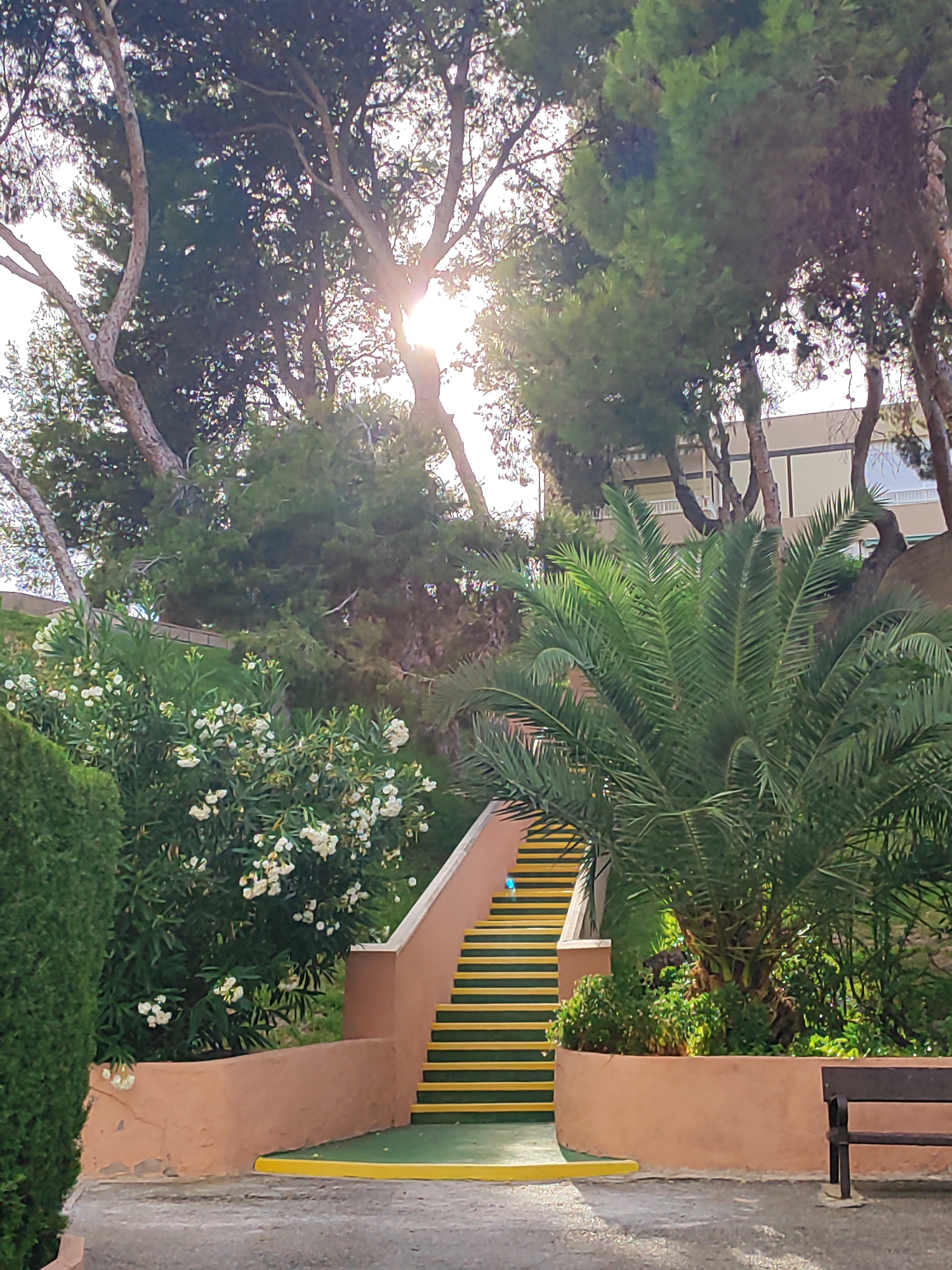 This image depicts an outdoor scene with a staircase leading upwards, surrounded by lush vegetation. The staircase has orange sides and yellow treads. A palm tree is prominent on the right side of the staircase, and there is a bush with white flowers to the left of the stairs. Tall trees with visible sunlight filtering through their branches are in the background, and a building is visible behind the trees. A dark wooden bench is situated in the lower right corner of the image. The overall environment suggests a park or garden area in El Campello, Spain. There are no people visible in the image, and no discernible actions or interactions taking place. The ground appears to be paved.