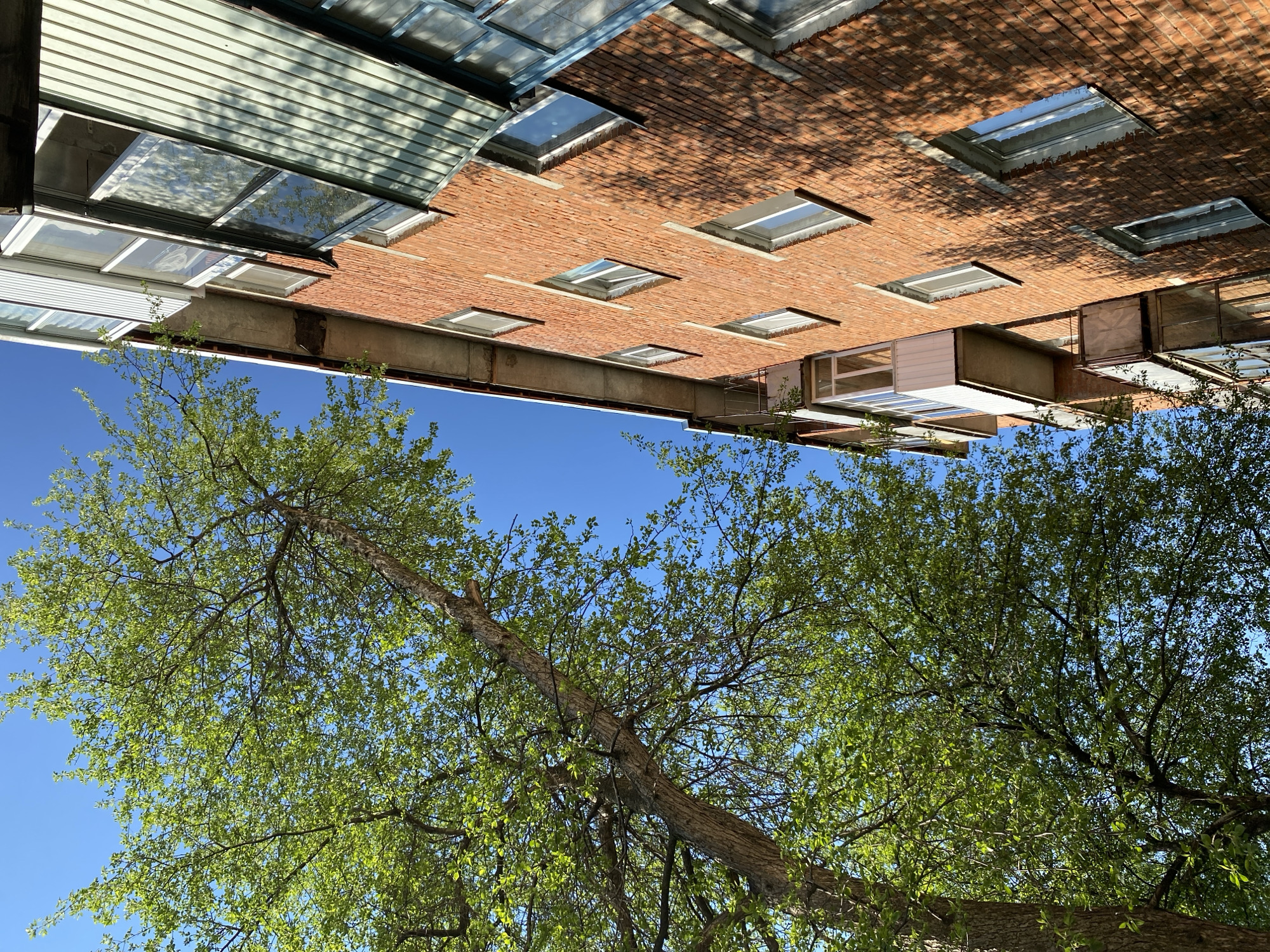 The image presents an upward view of a brick building with regularly spaced square windows and a corrugated metal awning. The sky is blue, and trees with green leaves frame the building. The photograph appears to be taken from a low angle, emphasizing the height of the building. The image is inverted. Location identified: Noviy, Russia. No people or interactions are visible.