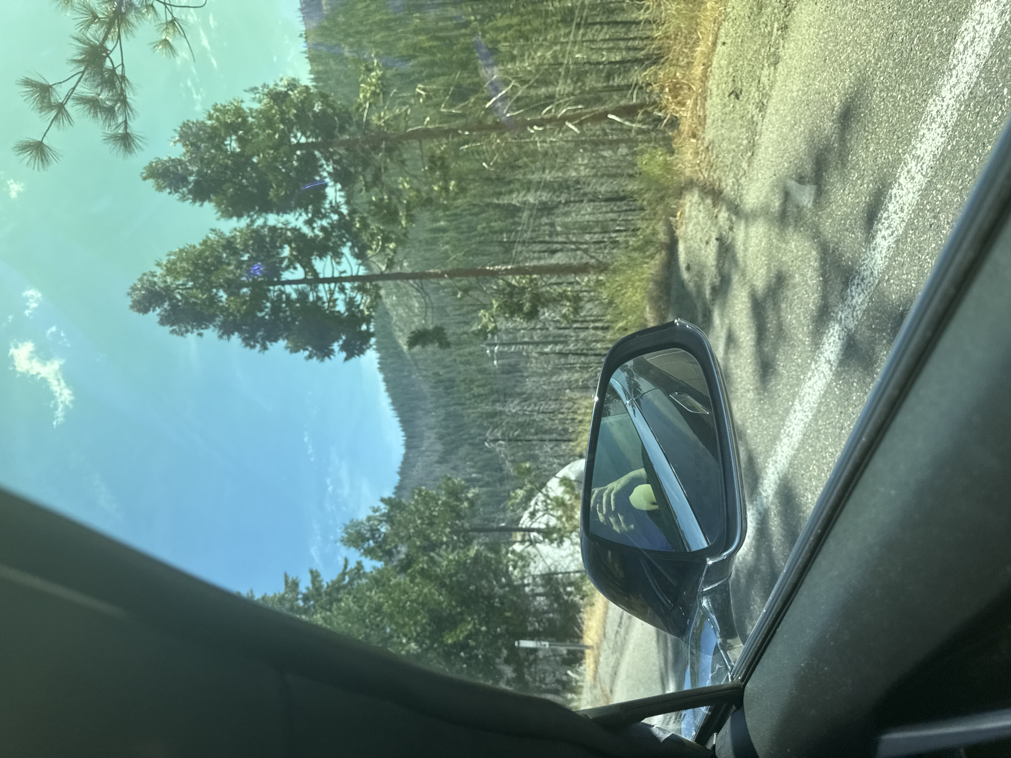 This is a photograph taken from inside a vehicle, looking out the side window and into the side mirror. The scene depicts a rural mountain landscape with a paved road in the foreground. The road has a white line marking. The surrounding environment is dominated by a dense forest of evergreen trees, with some interspersed dead trees evident. In the distance, rolling hills covered in trees are visible under a clear blue sky with a few wispy clouds. The side mirror of the car reflects the interior of the vehicle, showing a person's hand holding a phone, presumably taking the photograph. A signpost is partially visible on the left side of the road. The image quality is slightly blurred, and the lighting suggests it was taken during daylight. The specific location is not explicitly provided, but the context of the question asks to assume it is the city of Lower Forni, United States.