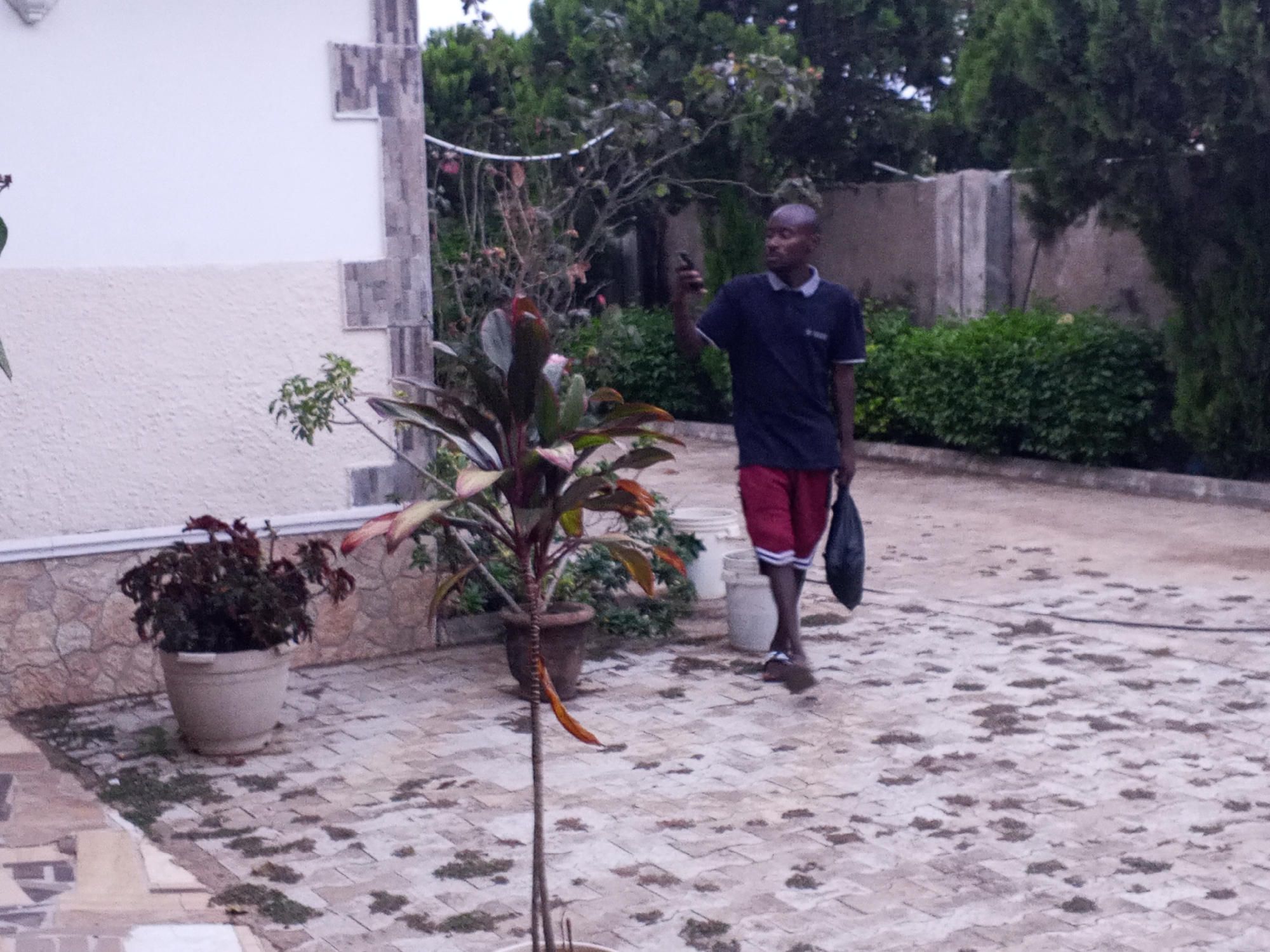 An image taken in Jos, Nigeria, depicts a bald, dark-skinned man walking across a paved outdoor area, possibly a courtyard or driveway. He is dressed in a dark blue polo shirt with a light collar, red and white shorts, and sandals. The man holds a black smartphone up in his right hand, appearing to be filming or taking a photo, while carrying a black bag in his left hand.
The ground is covered with light-colored, patterned paving stones, which show some dampness or staining. To the left, part of a building with light-colored walls and decorative gray-tiled corners is visible. Several potted plants are scattered around the space, including a tall plant with reddish-green leaves positioned centrally and a bushier plant in a white pot near the building. In the background, lush green trees and shrubs, along with a concrete wall, create a natural backdrop. Two white buckets are also present on the ground.
The lighting is soft and diffused, suggesting an overcast day, early morning, or late afternoon. The man's expression is neutral, focused on his phone. No discernible text is visible anywhere in the image. The scene captures an ordinary moment of an individual engaged with technology in an outdoor setting.