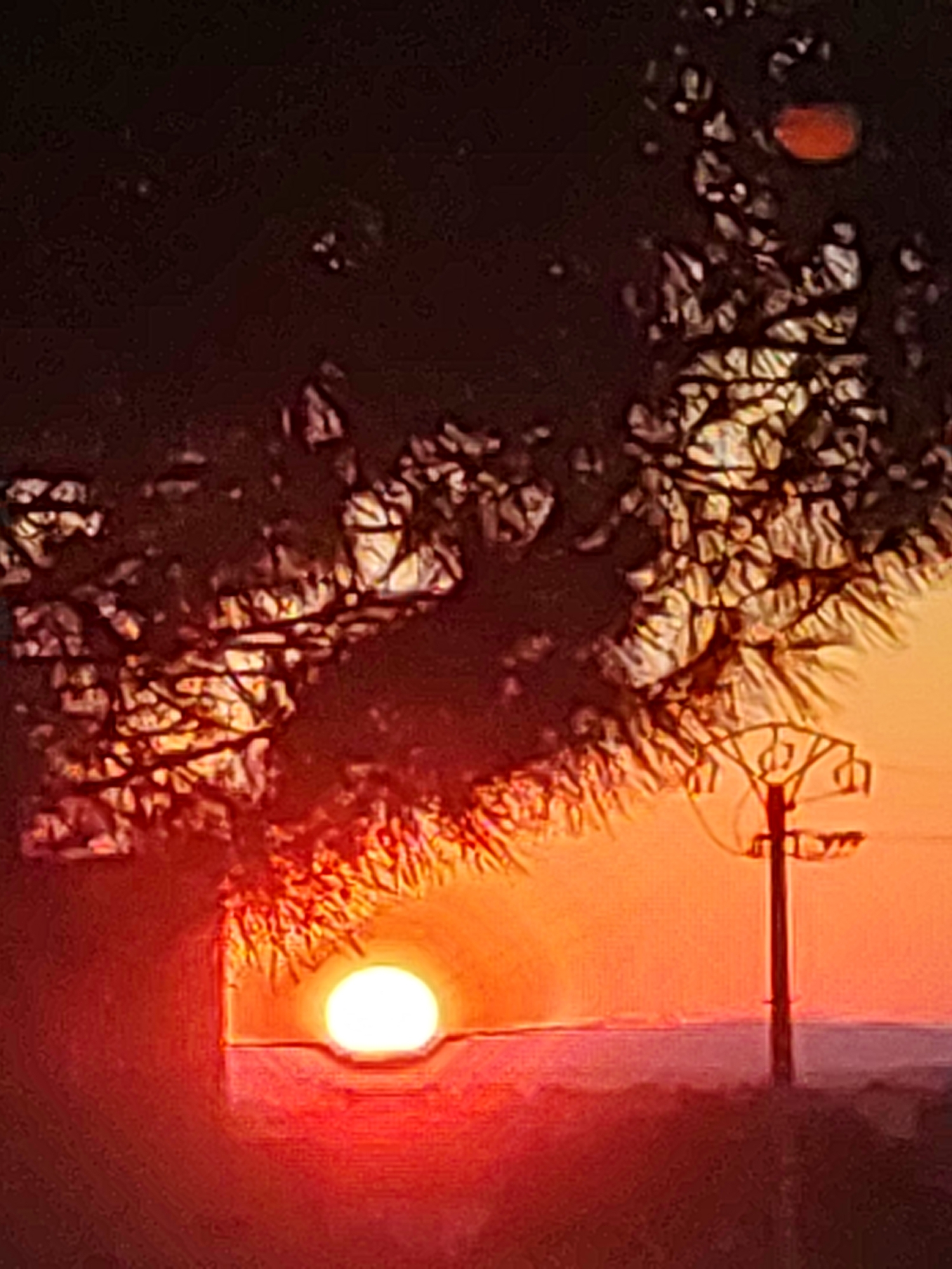 A low-angle, vertical shot captures a sunset over what appears to be an arid landscape. The sun, a bright white orb, is partially obscured by a dark foreground element, possibly a tree or rock formation, with a vibrant red glow emanating around it. In the mid-ground, a power line pole with insulators stands starkly against an orange and yellow sky. The sky transitions to a deep reddish-brown at the top of the frame, with the silhouetted branches of a tree creating a complex pattern against the lighter sky. The overall impression is one of a dramatic, fiery sunset in a rural or undeveloped area, potentially on the outskirts of Sobradillo, Spain, given the prominent power line infrastructure.