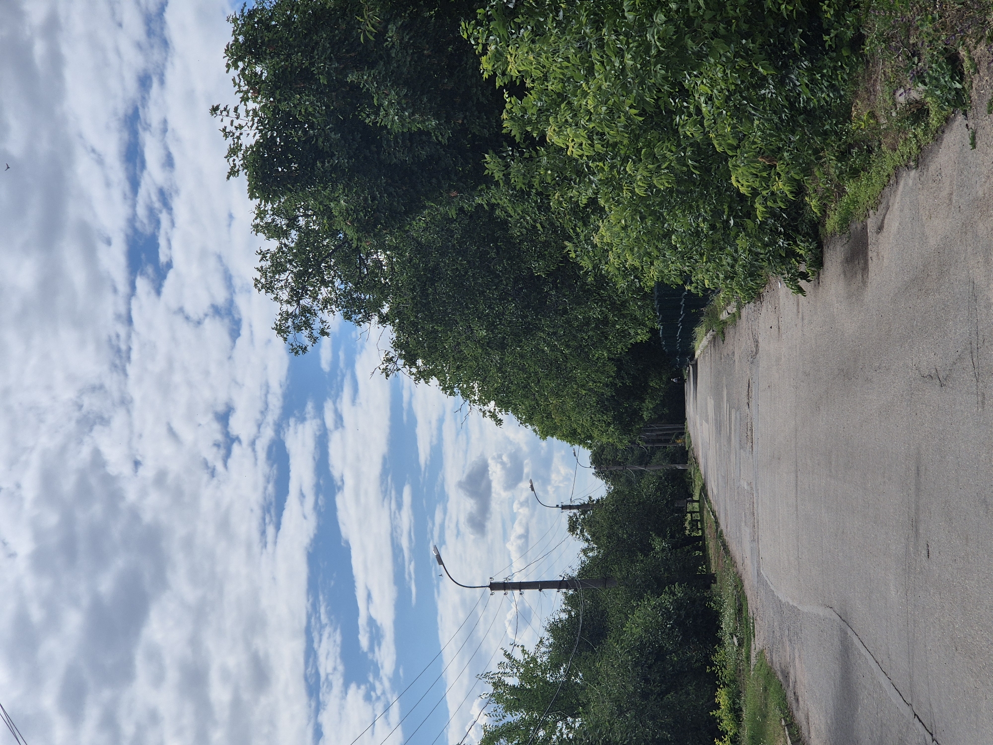 The image depicts a paved road winding through a verdant, tree-lined area in Sozonivka, Ukraine. The road, which appears to be in a rural or suburban setting, is bordered by dense green foliage on both sides. Overhead, a blue sky is dotted with fluffy white clouds. Several lampposts are visible along the roadside, with power lines stretching between them. In the distance, a person can be seen on the road, and a faint silhouette of another person is present further down. The overall impression is a quiet, natural environment with signs of human infrastructure.