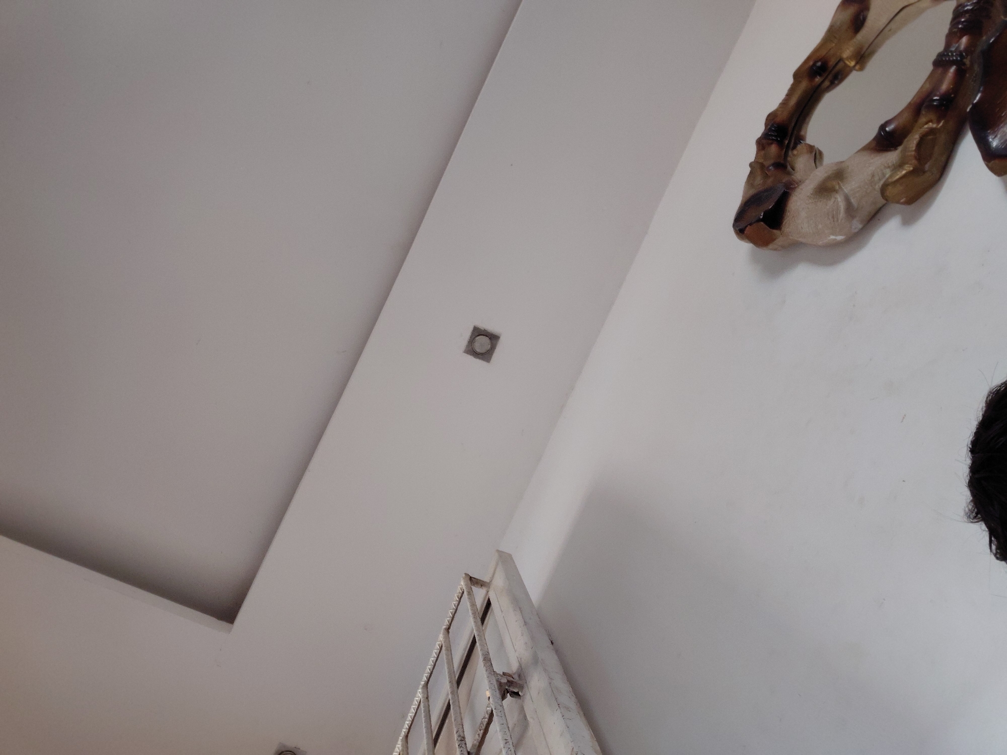 The image displays an upward-angled view of a brightly lit interior space, featuring white walls and a white ceiling. The ceiling has a multi-level or recessed design, creating distinct planes and shadows towards the upper left. A single square recessed light fixture is embedded in the ceiling.
On the white wall to the right, a decorative object is mounted, resembling sculpted or carved animal hooves or a horn, characterized by shades of brown, beige, and dark accents. In the lower central portion of the image, a segment of a white metal grate or frame, possibly part of a window or door, is visible, angled towards the ceiling. A small portion of a person's head with dark hair is seen in the extreme lower right corner of the frame.
The scene is static, with no discernible activity taking place. The lighting suggests a well-lit indoor environment, but does not provide clues about the time of day or external weather. The context provided indicates the location is Santa Ana, Venezuela. No visible text is present in the image.