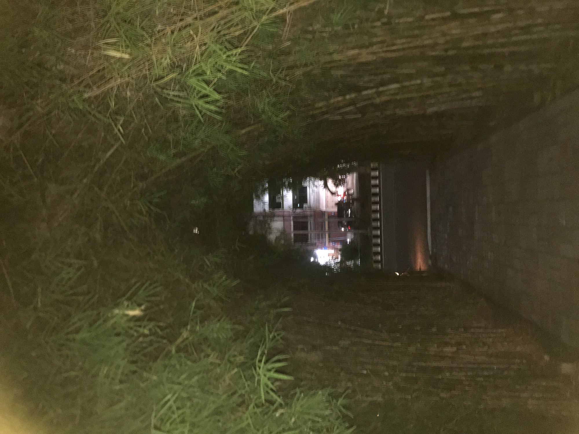 The image depicts a dark, possibly flooded or wet scene in Lhokseumawe, Indonesia, at night. A brick structure or pathway leads into a tunnel or narrow opening. The opening is obscured by foliage, likely grass and bamboo. In the distance, through the opening, lights and reflections suggest buildings or urban structures, appearing in the reflection. The overall scene is dimly lit, enhancing the dark and slightly unsettling atmosphere. There is no visible presence of people.