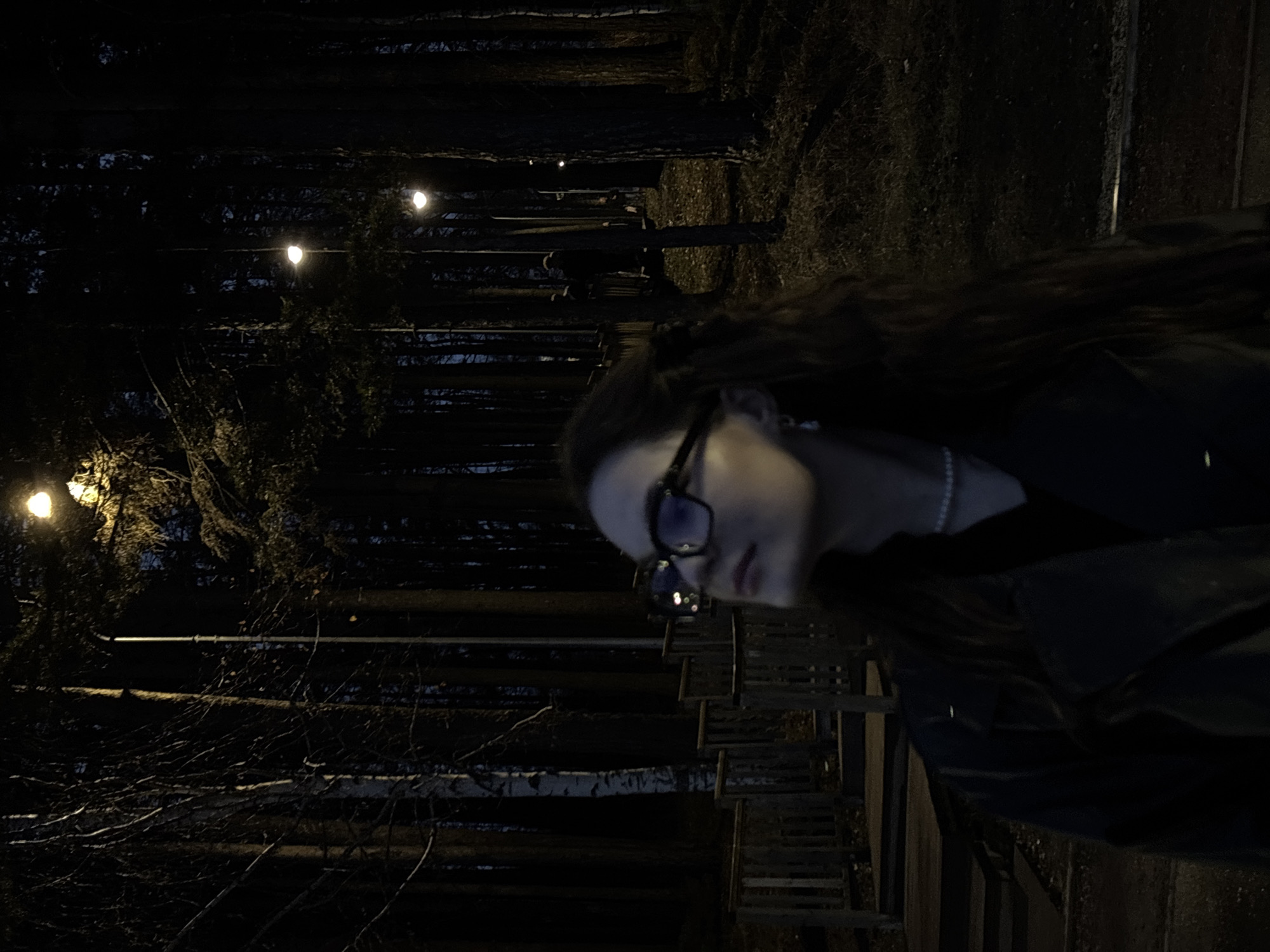 A dimly lit, upward-angled shot captures a woman with long, dark hair standing on a wooden structure resembling a staircase or elevated walkway. She is wearing glasses and a pearl necklace. The background suggests an outdoor setting, likely a park or wooded area in the city of Chaikovsky, Russia. Dim lighting highlights the presence of trees and lampposts in the distance, adding to the atmosphere.