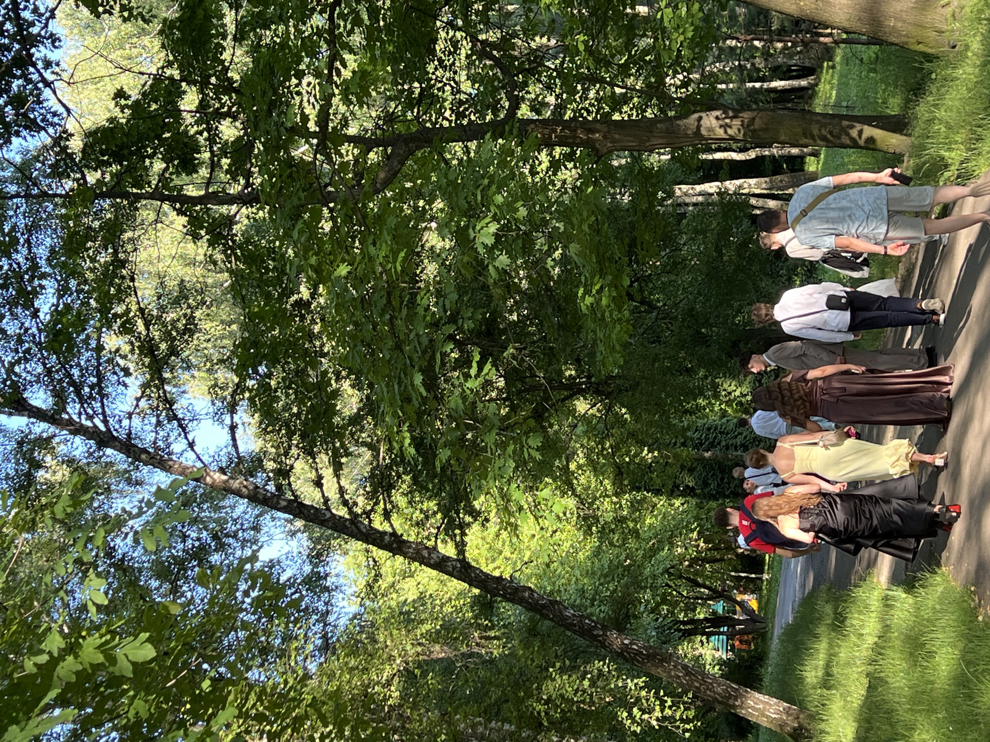 In a park setting with lush green trees and grass, a group of people are walking along a paved path. The sun is shining, casting dappled light through the leaves, suggesting it's a bright, clear day. The people appear to be dressed formally, with several individuals in long dresses and one in a light-colored shirt and shorts, indicating a special occasion or event. Some are walking in a line, appearing to be together. One person is holding a phone. The scene is peaceful and idyllic, with the natural beauty of the park providing a serene backdrop. There is no visible text in the image.