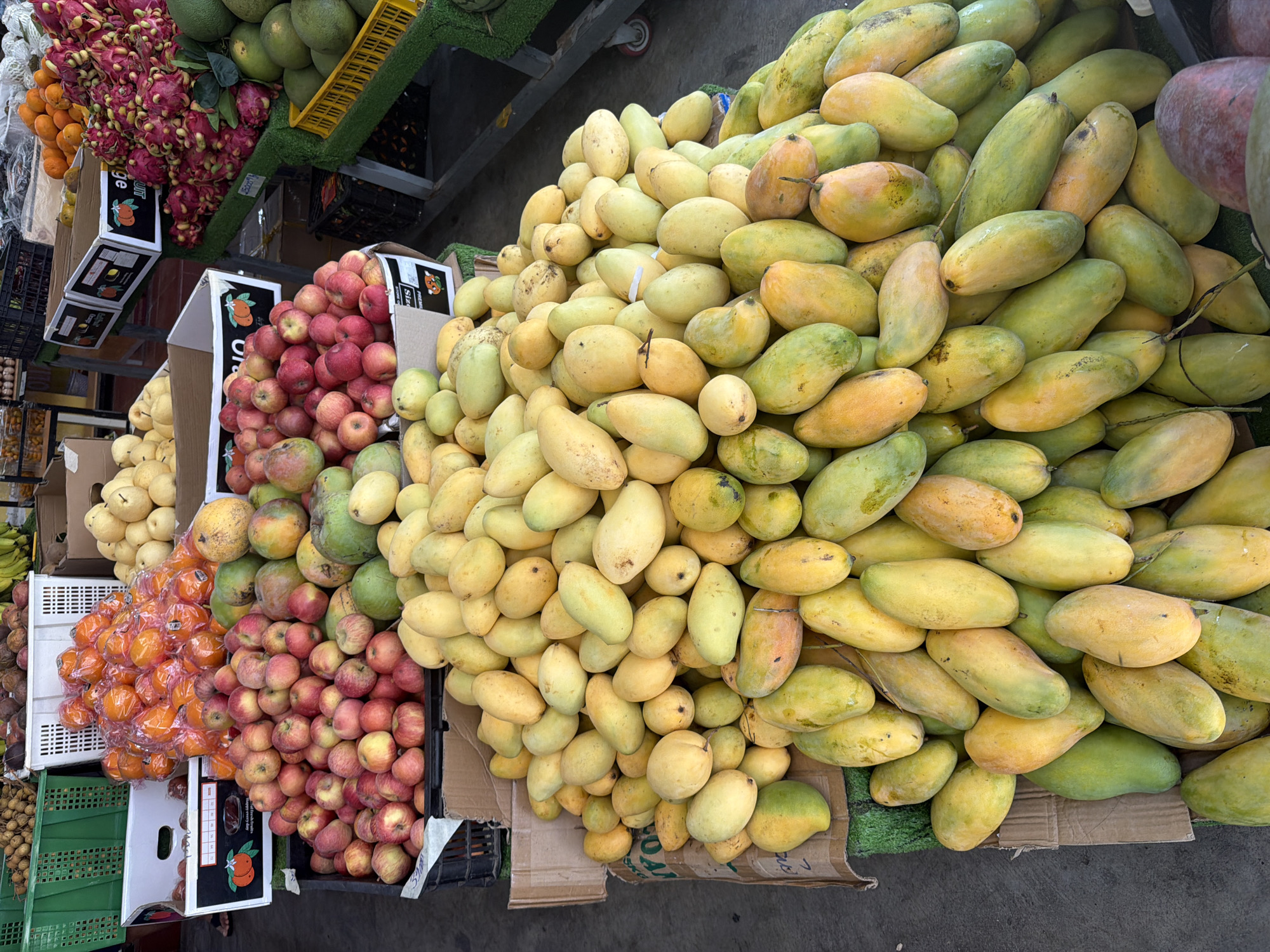 The image captures a vibrant produce stall, likely in Bac Nha Trang Ward, Vietnam, showcasing an abundant display of fresh fruits. In the foreground, a large pile of ripe mangoes dominates the scene, with varying shades of yellow, green, and hints of orange, some with reddish blush. They are artfully arranged on a cardboard base, spilling over onto a green felt-like surface.
Behind the mangoes, a dense collection of red apples is visible, packed into a black crate and also spilling out. Further back, a display of oranges, some in clear plastic bags, are stacked in a white bin. To the right, a striking arrangement of dragon fruit, with their bright pink scales and white flesh, adds a dramatic visual element. Green pomelos are also visible in a yellow crate adjacent to the dragon fruit.
The overall impression is one of a busy market, with the fruits tightly packed, suggesting a high volume of sales. The lighting appears natural, casting subtle shadows and highlighting the textures and colors of the produce. There are no people clearly visible in the frame, focusing the attention solely on the bountiful harvest. The background is somewhat blurred, indicating a shallow depth of field, but hints of other stalls and possibly market structures can be discerned. The scene is rich in color and texture, evoking a sensory experience of a bustling local market.