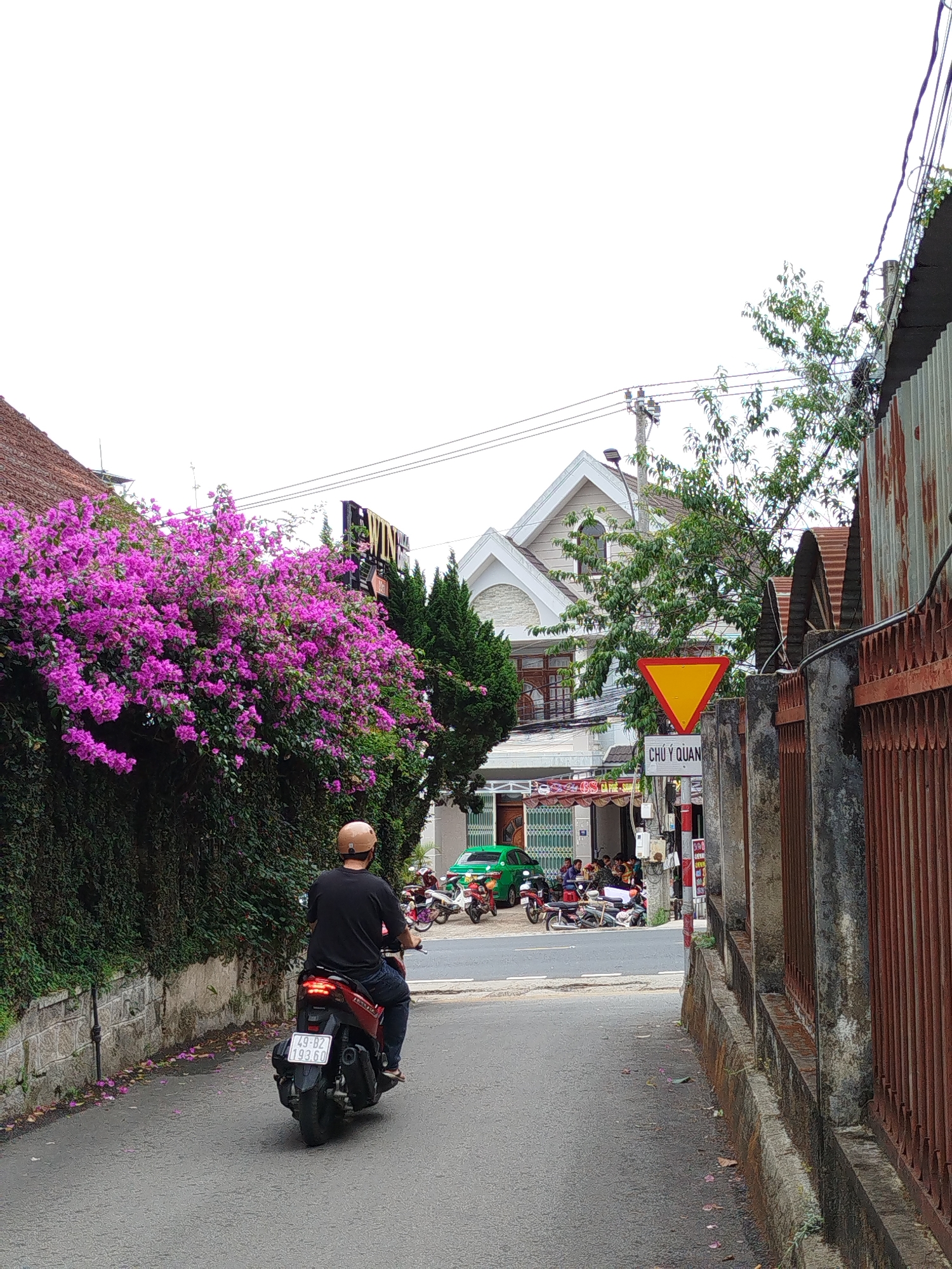 A man on a red scooter is riding down a narrow asphalt road in Da Lat, Vietnam. He is wearing a black shirt, blue jeans, a helmet, and sandals. The scooter has a license plate that reads "49-B2 193.60". To the left of the road is a high wall covered in green ivy and vibrant purple bougainvillea. To the right is a rusted, orange-red metal fence atop a concrete base.
In the distance, at the end of the road, is a yellow triangular yield sign, a street sign reading "CHU Y QUAN", and a building with a white gabled roof. People can be seen gathered near a green car and parked motorbikes. The sky is overcast. Overhead power lines are visible.