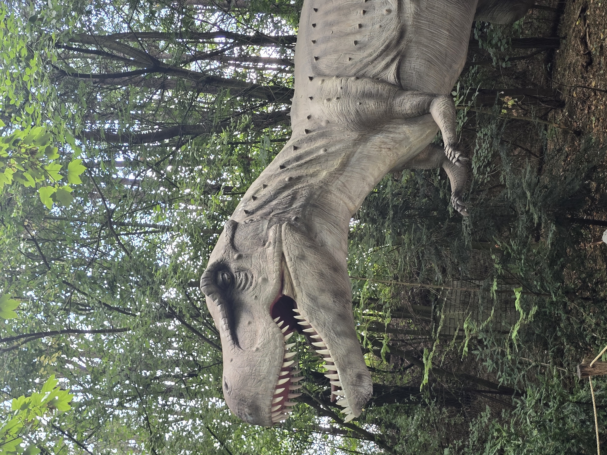 The image shows a life-sized model of a Tyrannosaurus Rex dinosaur standing in a wooded area. The dinosaur model is grey with sharp teeth and spikes along its back. The background consists of dense green trees and foliage, with some sunlight filtering through the leaves. The scene appears to be an outdoor exhibit. This dinosaur exhibit is located in the city of Vyškov, Czechia, at the DinoPark Vyškov.