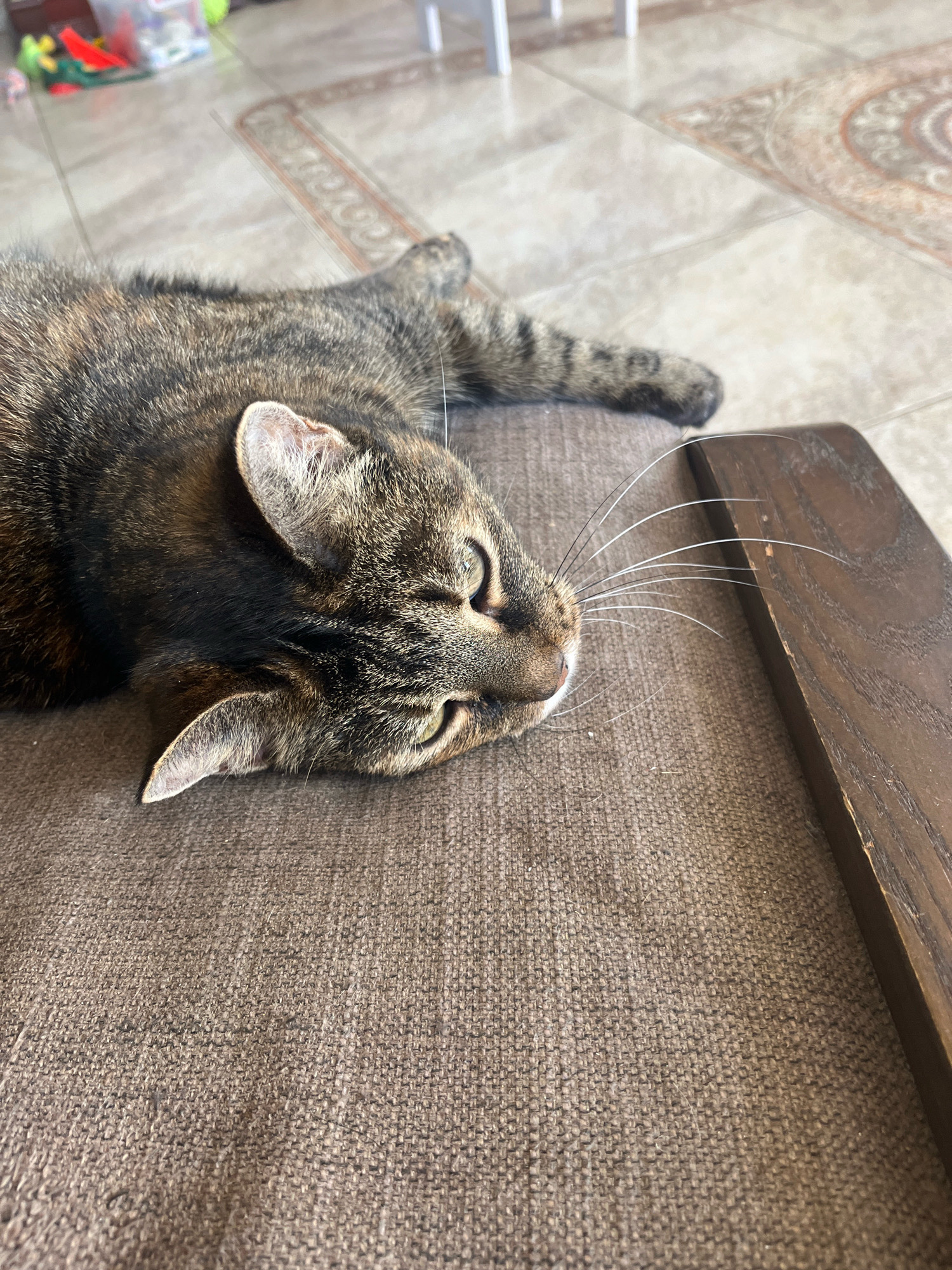The image shows a tabby cat lying on a brown couch, with its head resting near a dark wooden plank. The cat's fur is a mix of black, brown, and tan stripes, and its eyes are partially closed. Its right paw is visible, stretched out behind it. In the background, a tiled floor is visible, with what appears to be a rug or mat with a decorative pattern. There are also some blurry objects in the far background, suggesting an indoor setting. There is no information in the image that indicates the location is Vladimirovka, Russia.