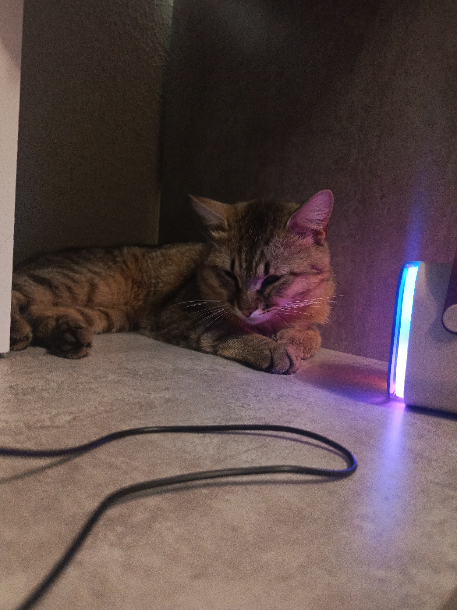 A tabby cat is lying down on a surface, illuminated by a blue and purple light emanating from a device to its right. A black cord snakes across the foreground. The cat appears to be resting comfortably, with its eyes mostly closed. The background is a dark, possibly enclosed space. The location is unknown.