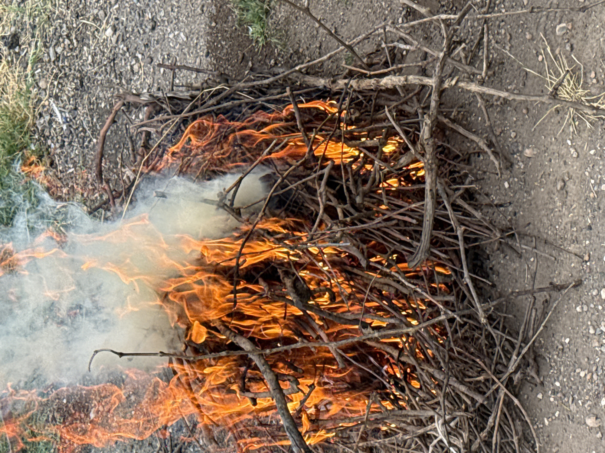 A bonfire is burning in a dry, outdoor environment, likely in Kosh, Armenia, given the dry, gravelly ground and sparse vegetation. The fire is composed of a pile of dry branches and twigs. Intense orange flames are visible, with some lighter yellow and white areas indicating the hottest parts of the fire. White smoke is rising from the bonfire, obscuring parts of the flames and the surrounding area. The ground around the bonfire is covered in small rocks and dirt, with some patches of dry, yellowish grass. There are no people or animals visible in the image. The overall scene suggests an uncontrolled fire of natural materials.