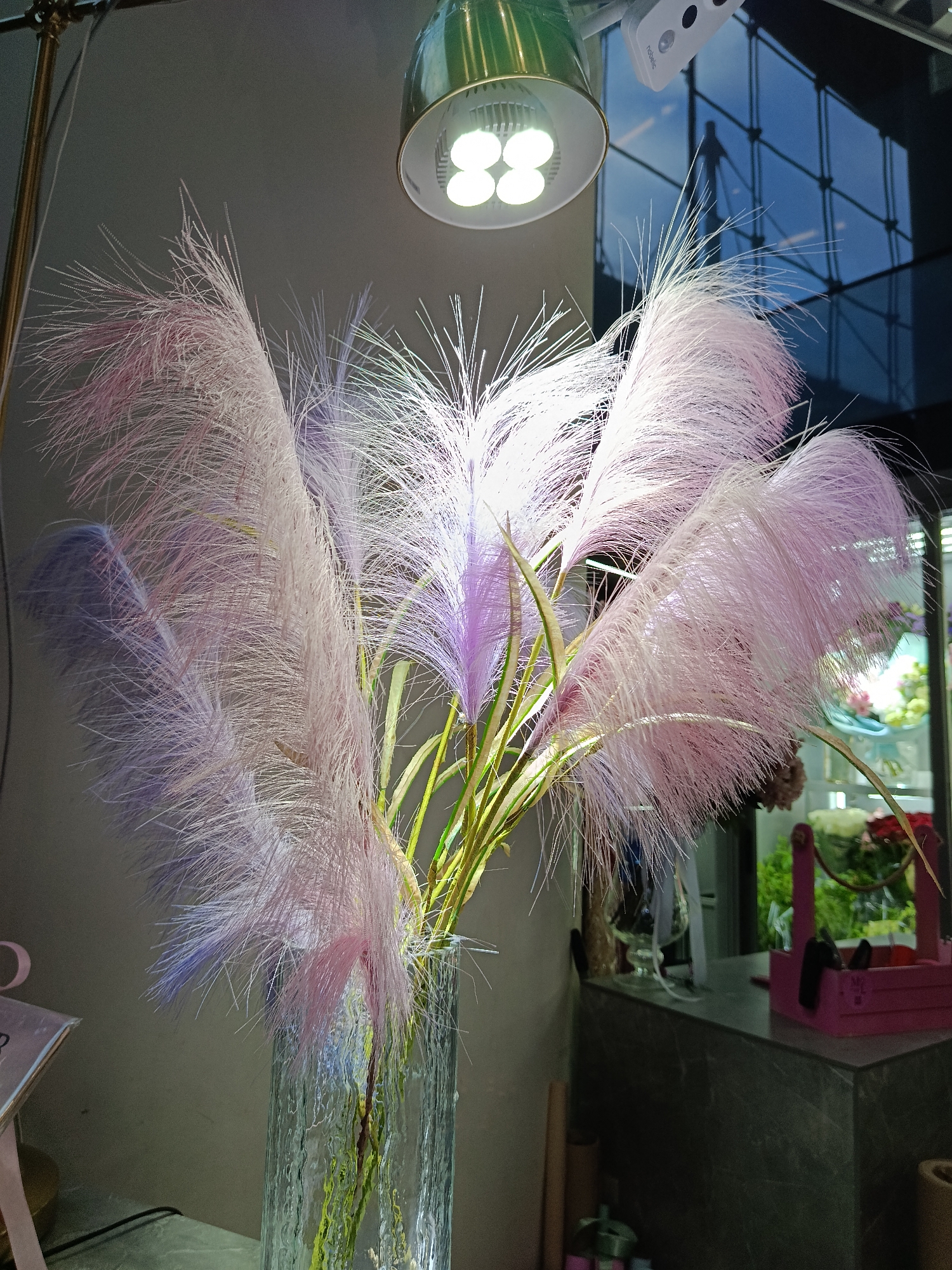 A vase of pink and lavender pampas grass stands on a countertop in an interior, illuminated by an overhead light fixture. The vase is clear and textured. The pampas grass plumes are voluminous and airy. Behind the vase, there is a glimpse of an outdoor setting with green foliage and other floral arrangements. A pink decorative wooden container is also visible on the countertop. The location is likely an interior space, possibly a shop or florist, in an urban setting; the city of Moscow, Russia, is speculative, based on a request for a location.