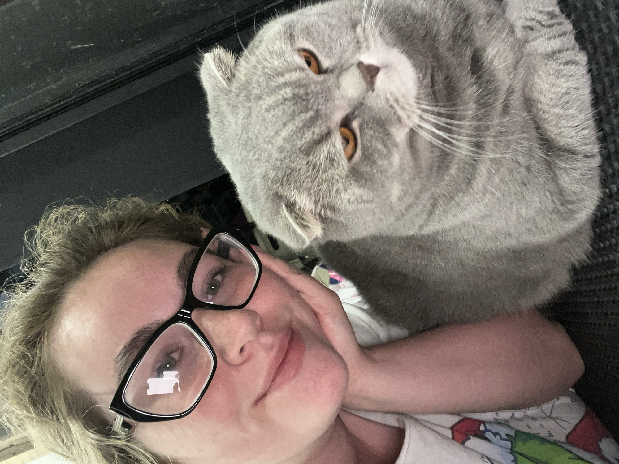 A selfie taken from a low angle features a woman with fair skin and short blonde hair wearing black-rimmed glasses. She is resting her head on her hand and smiling slightly. Above and behind her is a grey Scottish Fold cat with amber eyes, looking down at the camera. The background includes a dark, possibly black, surface and glimpses of patterned fabric. The location is Chaikovsky, Russia.