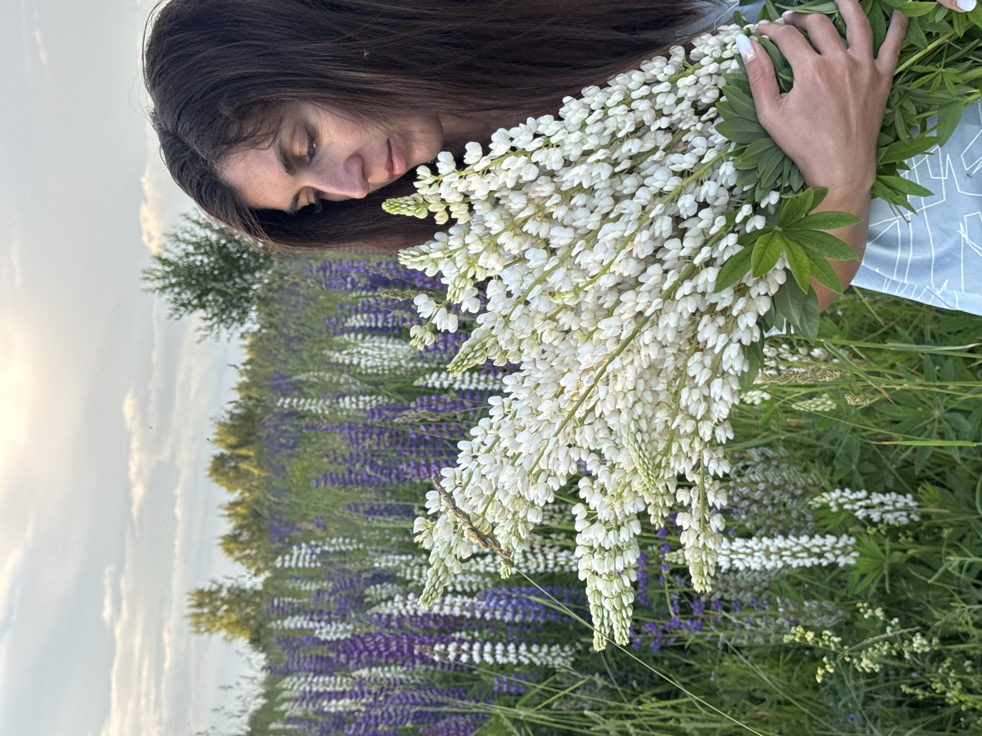 In the city of Vassyata, Russia, a woman stands in a field of lupine flowers. She is holding a large bouquet of white lupine flowers. The field is filled with purple and white lupine flowers. The sky is cloudy and the sun is setting. The woman has long, dark hair and is wearing a blue dress. Her eyes are closed and she is looking down at the flowers. The image is a close-up shot of the woman and the flowers, with the field of lupines in the background.