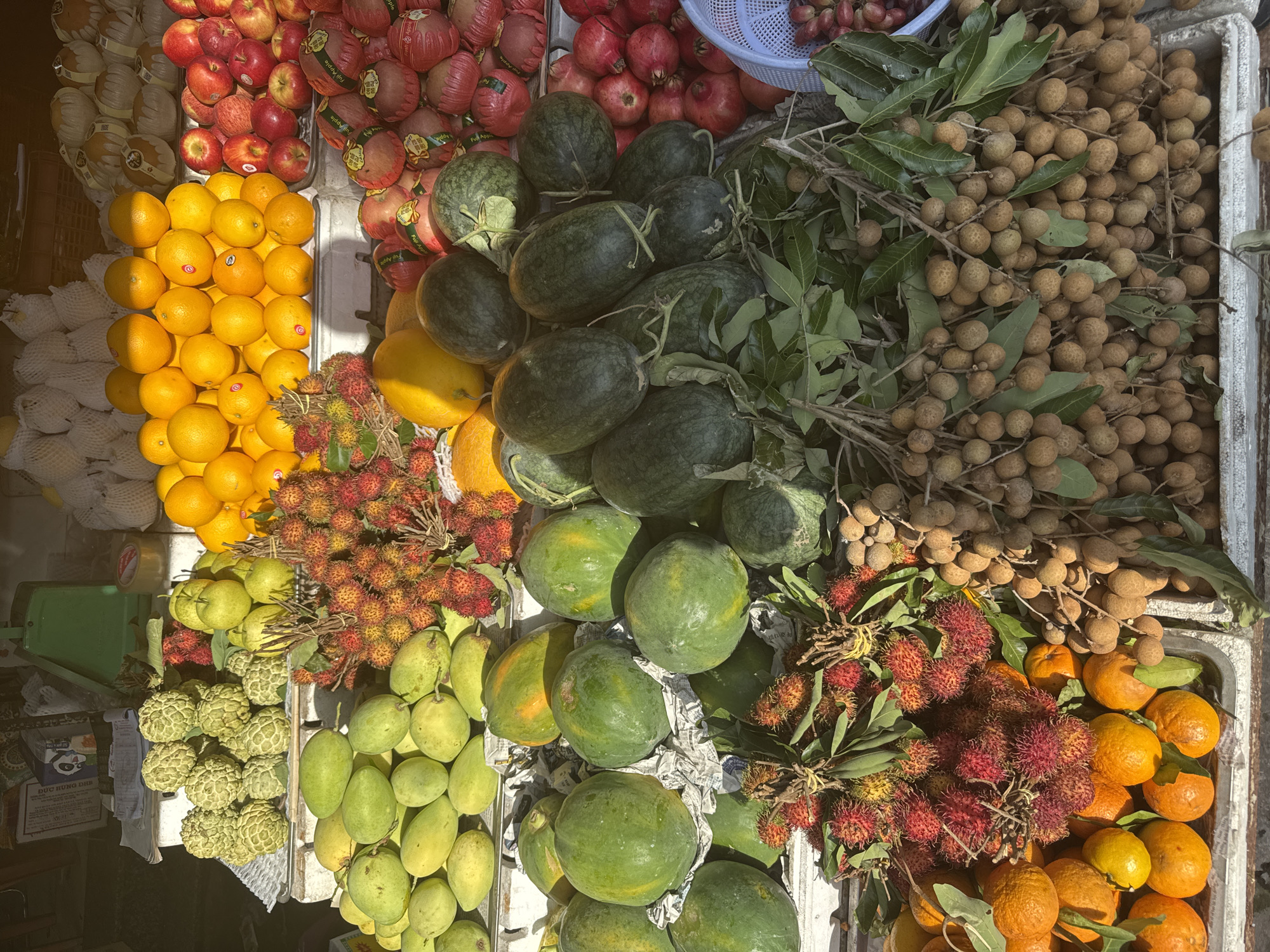 A street fruit stall in Phú Thủy, Vietnam, displays a vibrant assortment of fresh produce. In the foreground, large bunches of longan and rambutan fruits are prominent, with the rambutan's spiky red exteriors contrasting with the longan's smooth, brown shells. Behind them, piles of bright orange mandarins and apples, some with "Fuji" labels, are stacked neatly. Further back, watermelons and papayas in various shades of green and yellow are visible. The stall features an old green weighing scale, suggesting a traditional market setting. The overall scene is one of abundance and fresh, natural colors.