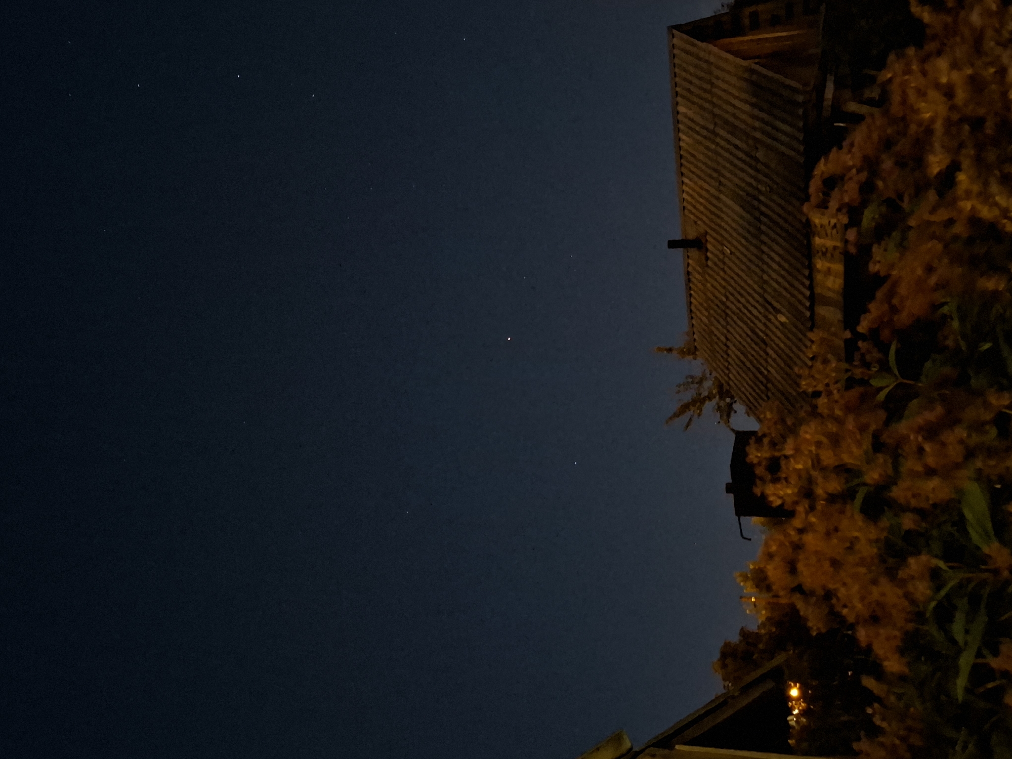 The image is a nighttime photograph taken from an outdoor location, likely a backyard or garden, in Tyumen, Russia. The sky is a deep, dark blue, sparsely populated with small white stars. A single, brighter celestial object, possibly a planet like Venus or Jupiter, is visible in the upper-middle portion of the frame.
In the foreground, the scene is dominated by dense, feathery foliage in shades of orange and brown, illuminated by a warm, artificial light source coming from the left side of the image. Behind the foliage, two structures are partially visible. On the right is the roof of a wooden building, covered with corrugated, weathered material, and featuring a dark chimney. To the left of this building and behind the foliage, a dark, rectangular object, possibly a water tank or silo, stands with a pipe extending from its top. A small portion of a wooden roofline and wall, with a dim yellow light emanating from behind it, is visible in the far left of the image. The overall impression is of a rustic, rural or semi-rural setting at night.
