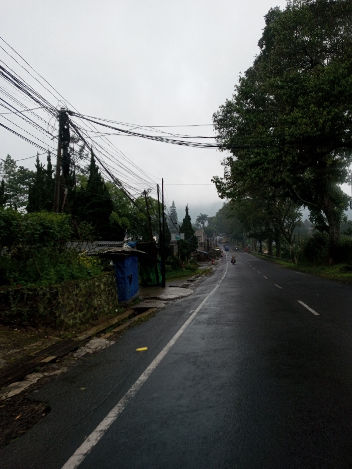 The image depicts a wet asphalt road in the city of YonPhoogla, Bhutan, under an overcast sky. The road, featuring a solid white shoulder line on the left and a broken white center line, recedes into the distance. A single individual is observed riding a light-colored scooter or motorcycle in the right lane, moving away from the camera. On the left side of the road, a dark-colored utility pole stands prominently, supporting a dense cluster of overhead electrical or communication wires that span across the upper left quadrant of the frame. Below the wires, a stone retaining wall is partially visible, fronting a dense accumulation of green foliage, including several tall, slender evergreen trees. Behind the vegetation, a small, blue-colored structure with a dark roof is present. A yellow object rests on the wet asphalt near the left shoulder line. The right side of the road is bordered by a line of mature trees with dense green canopies. In the far distance, hills or mountains are partially obscured by atmospheric mist or low clouds, visible beneath the uniformly gray, overcast sky.