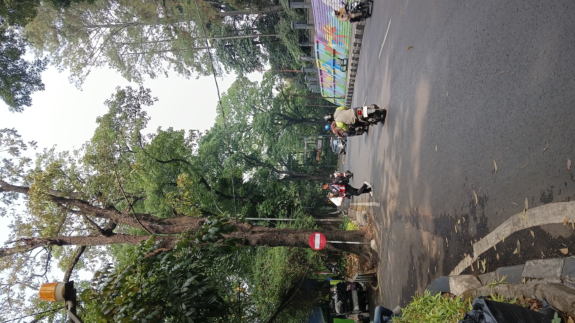 The image depicts a street scene on a cloudy day, likely in Bandung City, Indonesia, given the presence of a distinctive mural on a retaining wall. The street is asphalt, with a white painted line separating lanes. On the left side of the road, there is a sidewalk with a curb, lined with lush green plants and a black garbage bag. Beyond the sidewalk, a large tree with a thick trunk dominates the foreground, with its branches extending upwards and out of frame. A traffic light with an orange flashing beacon is attached to a pole near the tree. A circular red and white traffic sign is also visible on the left side of the road.
A person is crossing the street in the middle ground, wearing a red jacket and dark pants. They are carrying a white bag. Several motorcycles are on the road, with riders wearing helmets. One motorcycle is visible in the foreground on the right, with a rider wearing a light brown jacket. Further down the road, other vehicles, including cars and more motorcycles, are present.
On the right side of the road, a vibrantly colored mural adorns a low retaining wall. The mural features abstract shapes and patterns in shades of purple, blue, green, yellow, and orange. Beyond the wall, tall trees with dense green foliage line the street, creating a canopy effect. The overall impression is of an urban street with significant greenery and a lively atmosphere.