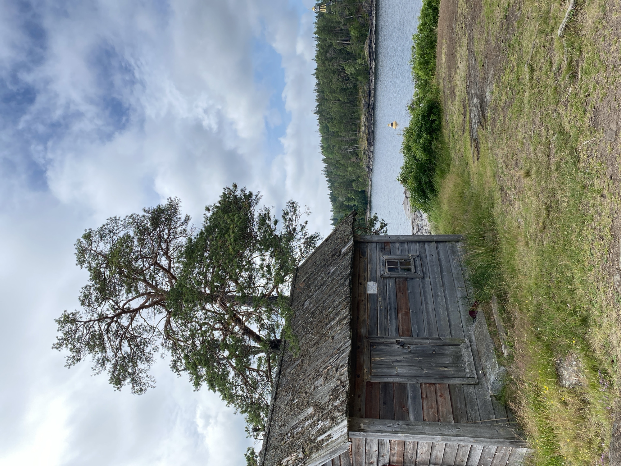 The image depicts a weathered wooden shed situated on a grassy embankment next to a body of water. The shed has a rustic appearance with visible wooden planks and a moss-covered roof. A small window and a door are present on its facade. Behind the shed, a large pine tree with dense foliage dominates the scene. In the background, a tranquil lake is visible, bordered by a dense forest of evergreen trees. The sky is partly cloudy, with patches of blue sky interspersed with white clouds. A yellow buoy floats in the water near the shore. The overall setting suggests a remote, natural environment. This appears to be a picturesque view of the Valaam archipelago in Russia, known for its historical monasteries and natural beauty.