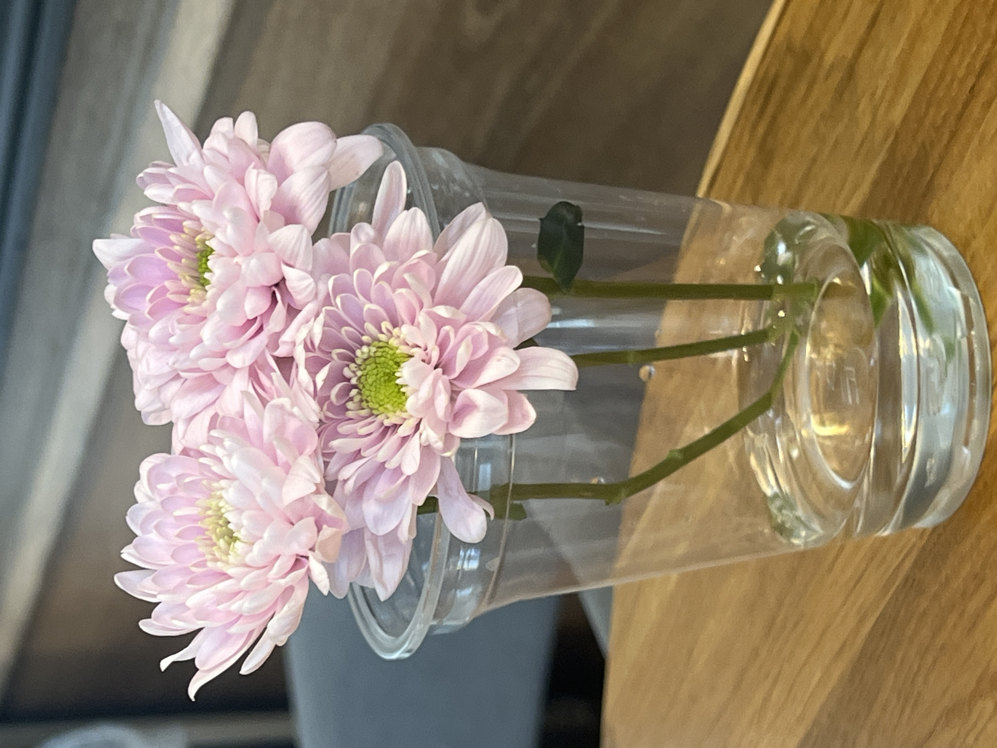 The image shows a clear plastic cup filled with water containing three pink chrysanthemums. The cup is sitting on a wooden surface. One green leaf is visible inside the cup. The flowers are oriented towards the left side of the frame. The location is unknown but presumed to be Mytishchi, Russia.