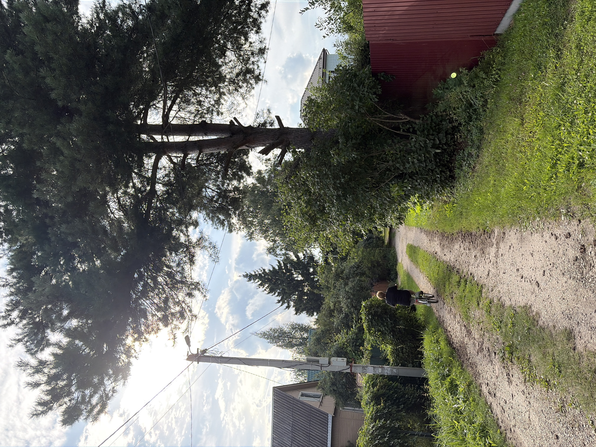 A person is riding a bicycle down a dirt road in the village of Elektrotekhnik SNT, Russia. The sun is shining brightly through the branches of a large pine tree, casting dappled shadows on the road. On the left side of the road, there is a house with a gray roof and wooden siding. A utility pole with wires runs alongside the road. On the right side of the road, there is a red metal fence and dense foliage. The sky is blue with scattered white clouds.