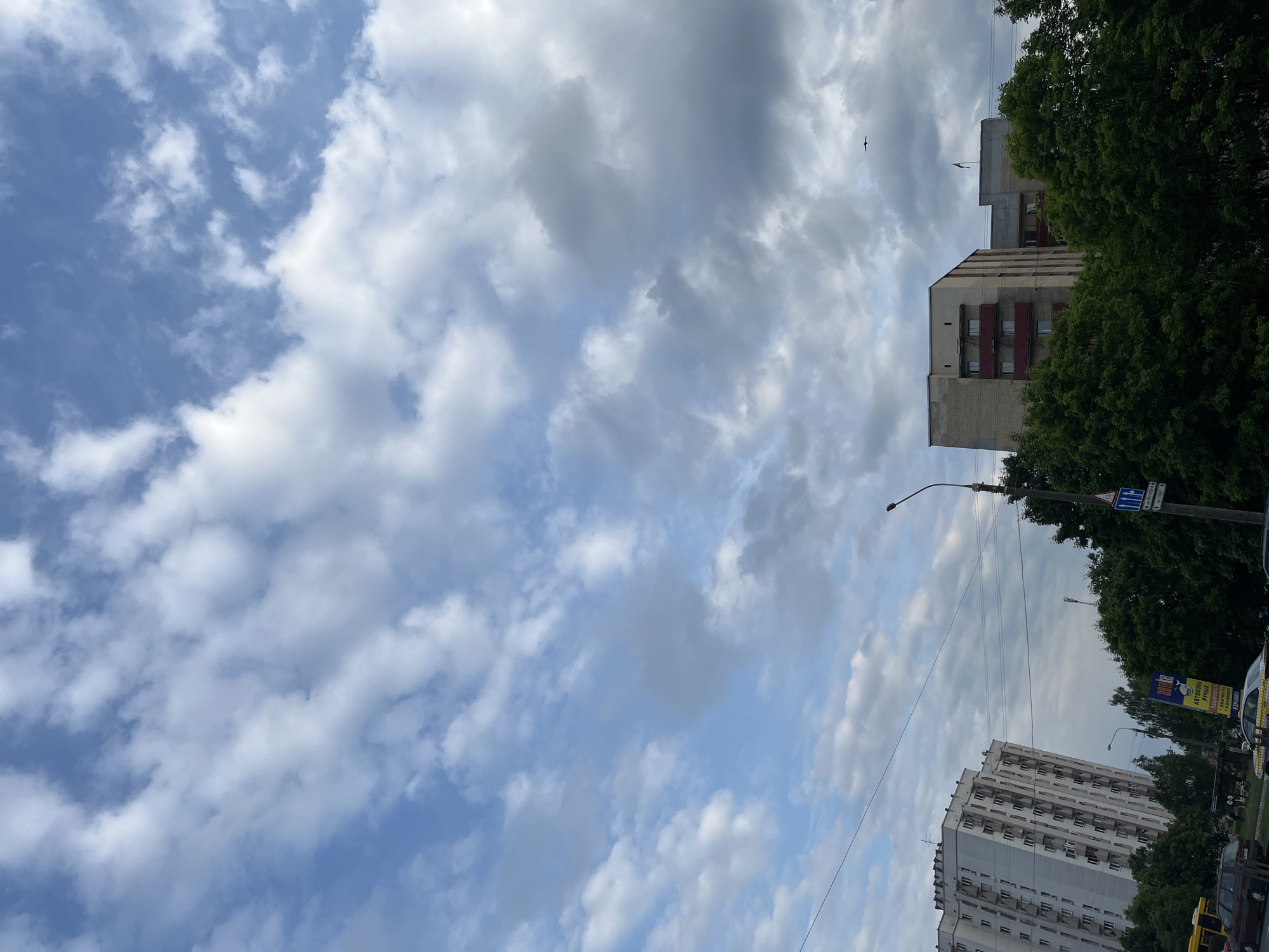 A wide-angle, vertical shot captures a view of buildings and trees under a cloudy sky in Minsk, Belarus. In the foreground, on the left, a beige apartment building with numerous balconies is visible, its structure slightly tilted. To the right of this building, a cluster of dense green trees partially obscures another building complex, characterized by a brick facade and red balconies. A traffic light stands on the right side of the image, accompanied by a blue street sign. Several vehicles, including a yellow bus and a dark-colored car, are parked along a road in the lower left corner. The sky is filled with a mix of white and gray clouds, with a small bird flying in the upper right quadrant. The overall scene depicts a typical urban streetscape.