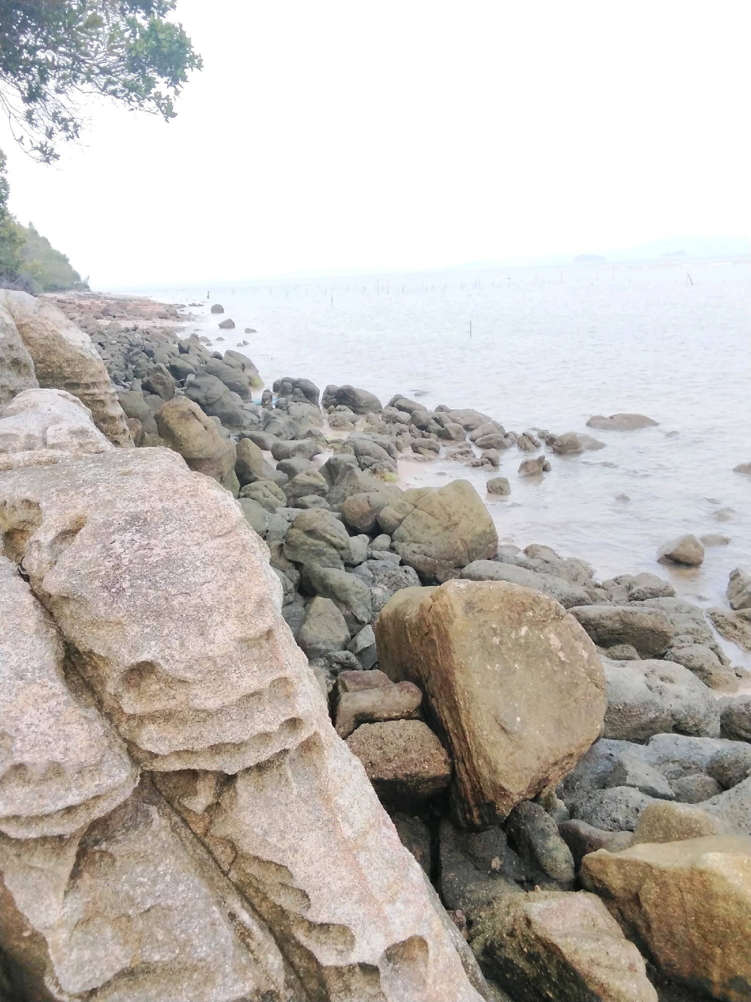 The image depicts a rocky shoreline in Moro, Indonesia, under a hazy, overcast sky. The foreground is dominated by large, weathered rocks with textured surfaces and visible erosion patterns. Beyond these, a scattering of smaller, rounded rocks extends towards the water's edge. The sea is calm and appears shallow, with the water gently lapping against the shore. In the distance, a thin line of what appears to be a coastline or island is visible, barely discernible through the mist. Several thin, vertical poles, possibly markers or part of a fishing structure, rise from the water at varying distances. A lone figure is present near the water's edge, appearing small against the vastness of the sea and shore. Trees and vegetation are visible along the elevated bank to the left of the frame, adding to the natural, coastal environment.